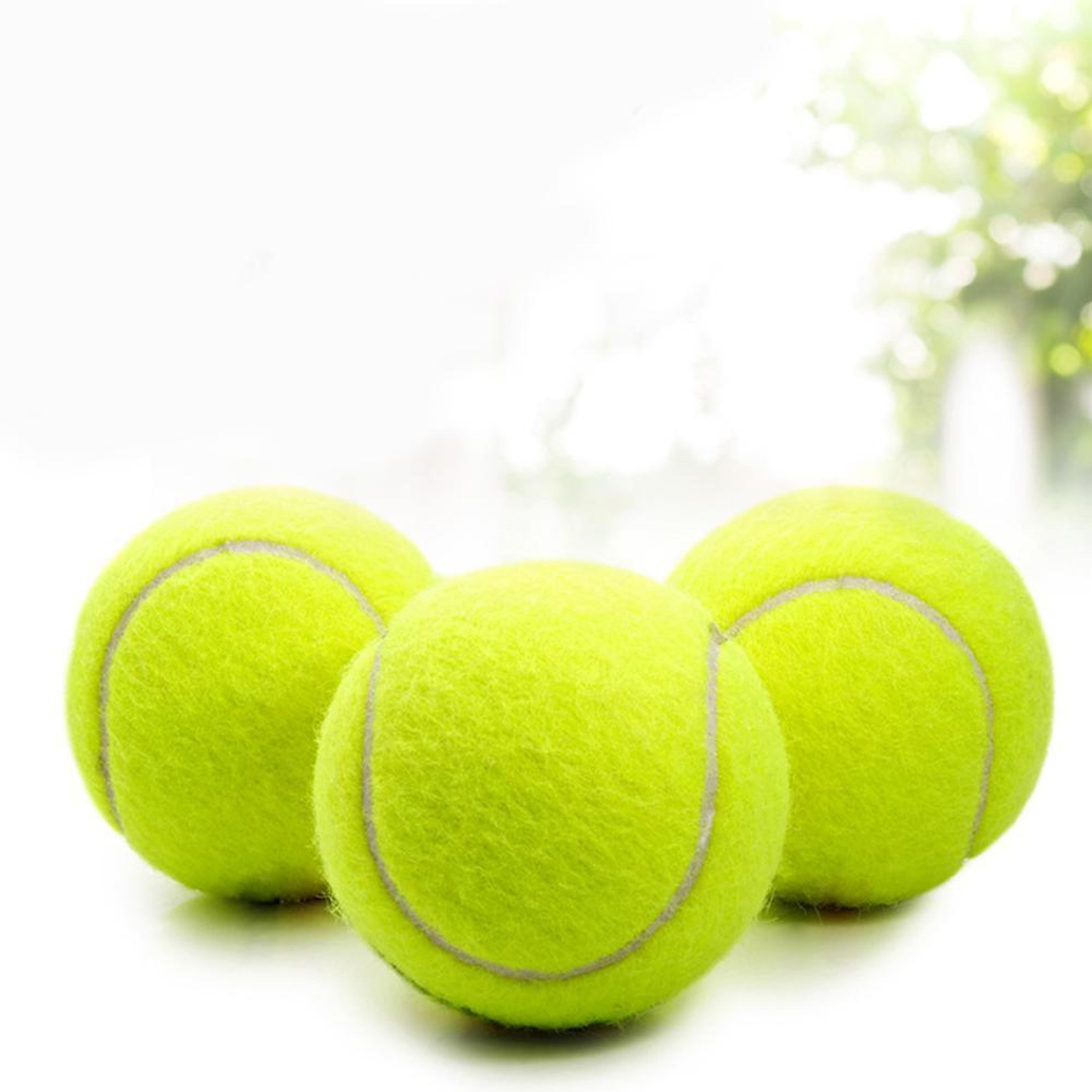 tennis training game ball outdoor, high elasticity tennis professional, dogs bite chase and chomp tennis ball