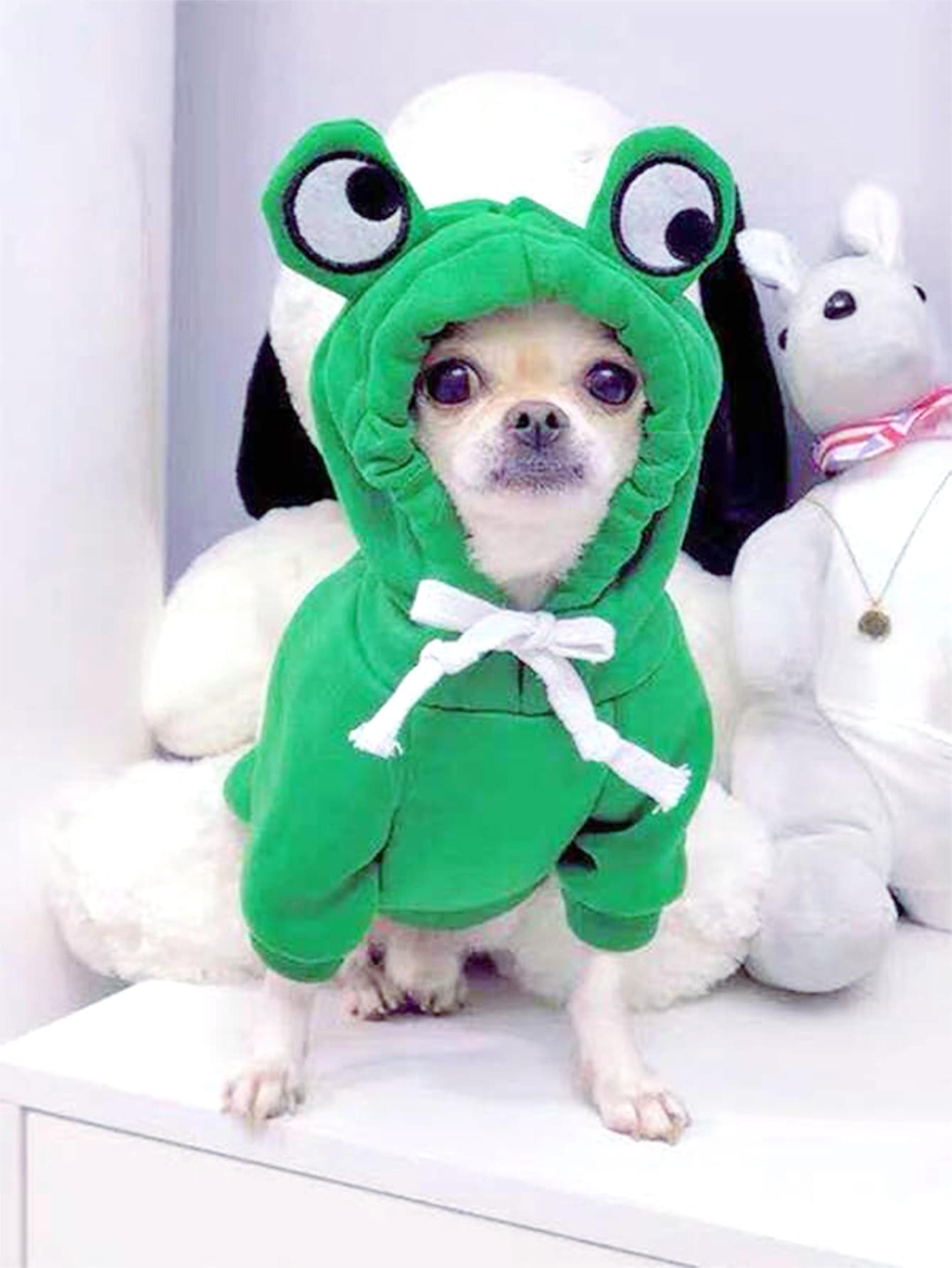 cute frog pet sweater, green dog hoodie for small dogs, fun design, keep your pup cozy and stylish