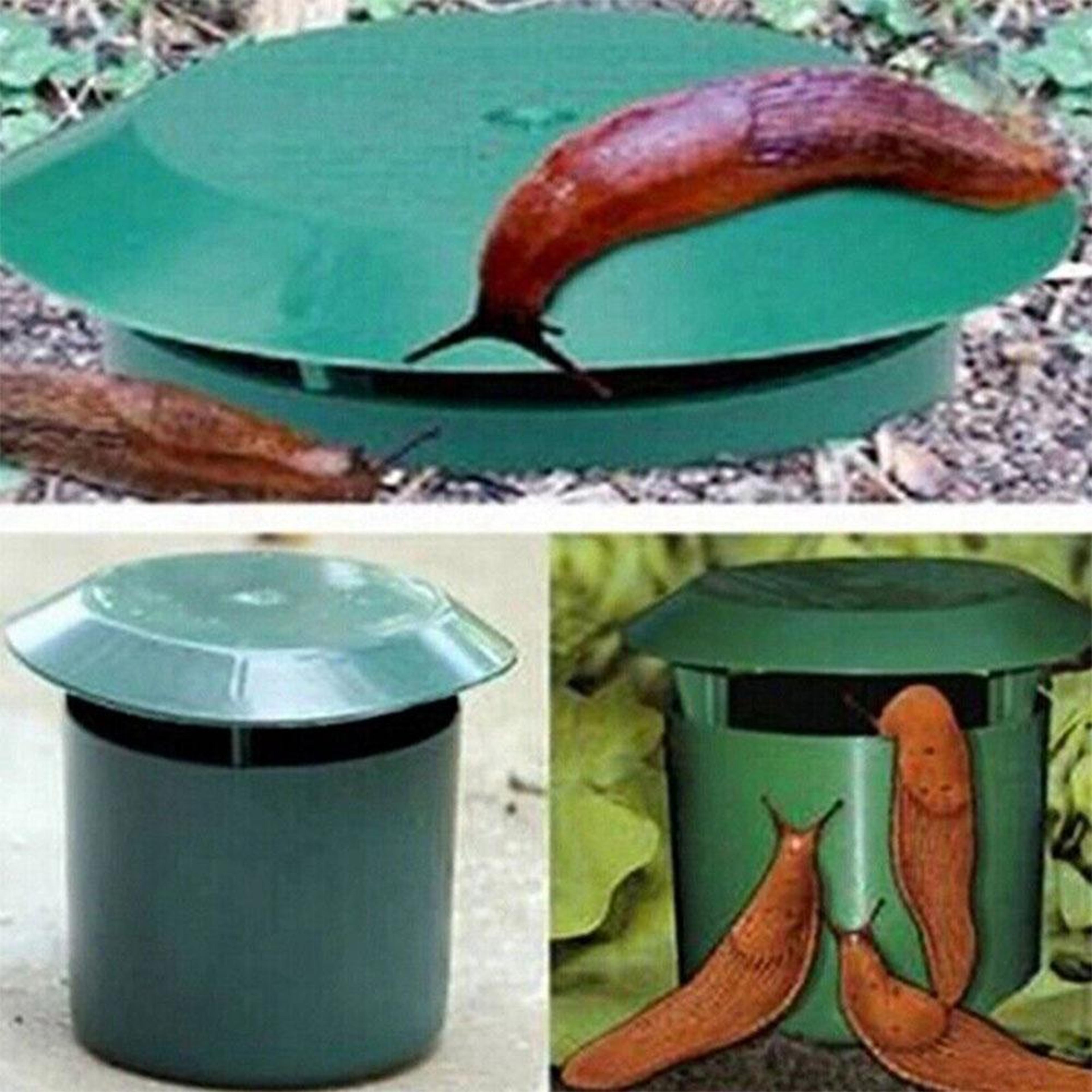 snail house trap, garden snail cage, eco-friendly snail catcher for plants