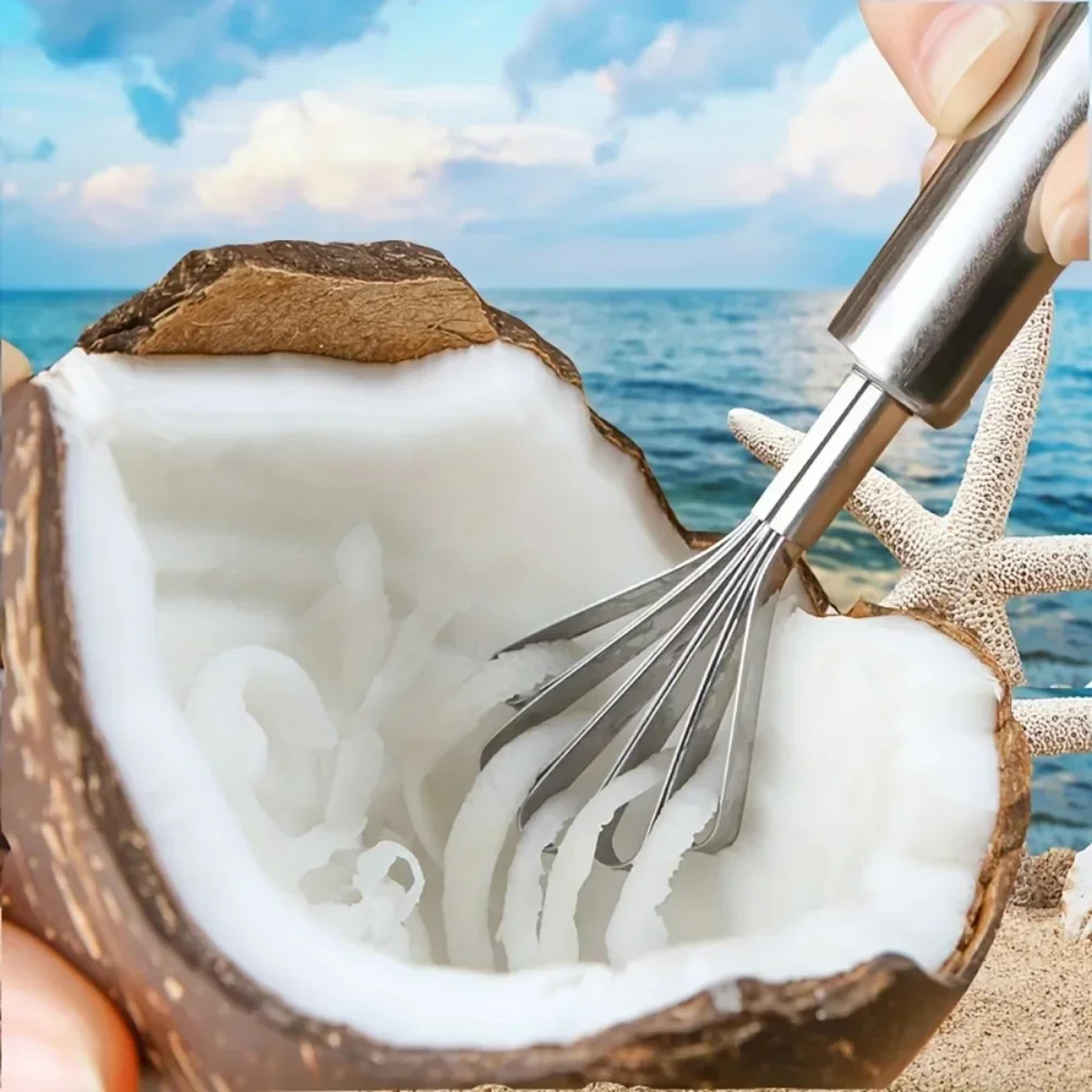 fruit spoon planer, melon and coconut seed remover, stainless steel scraper
