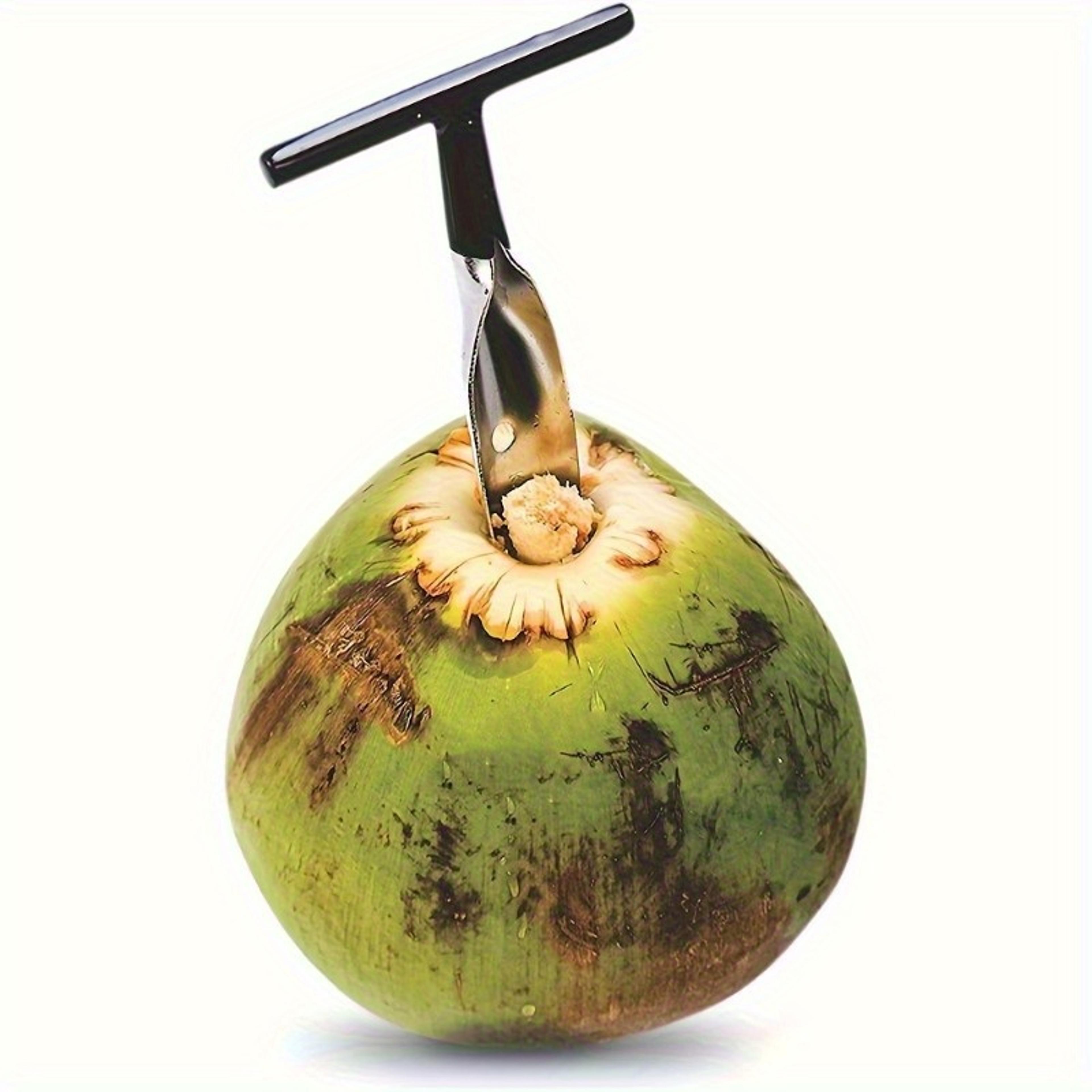 portable coconut spatula knife, stainless steel coconut opener with ergonomic handle