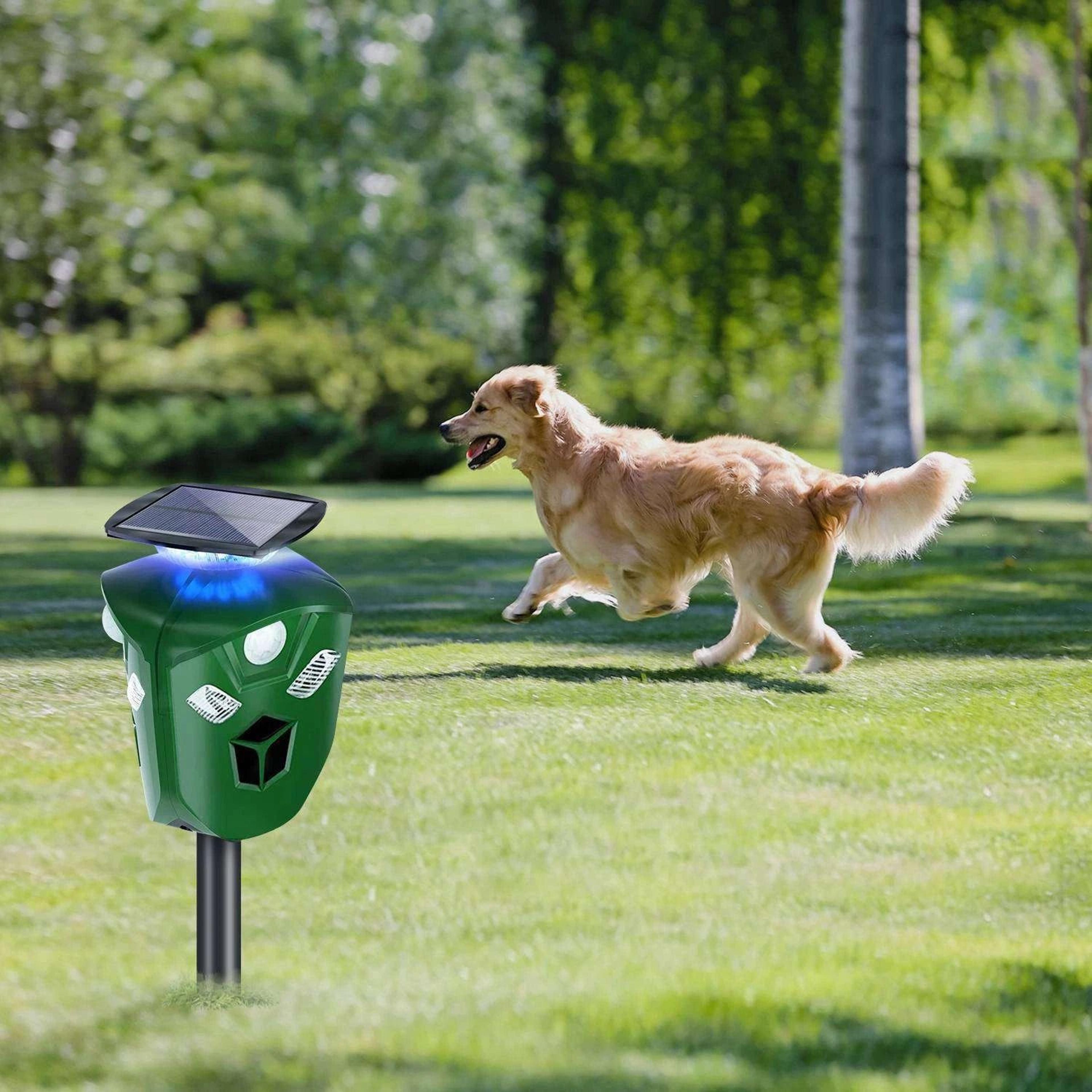 solar ultrasonic animal repeller, motion sensor usb cat, skunk, deer, and wildlife repellent for gardens