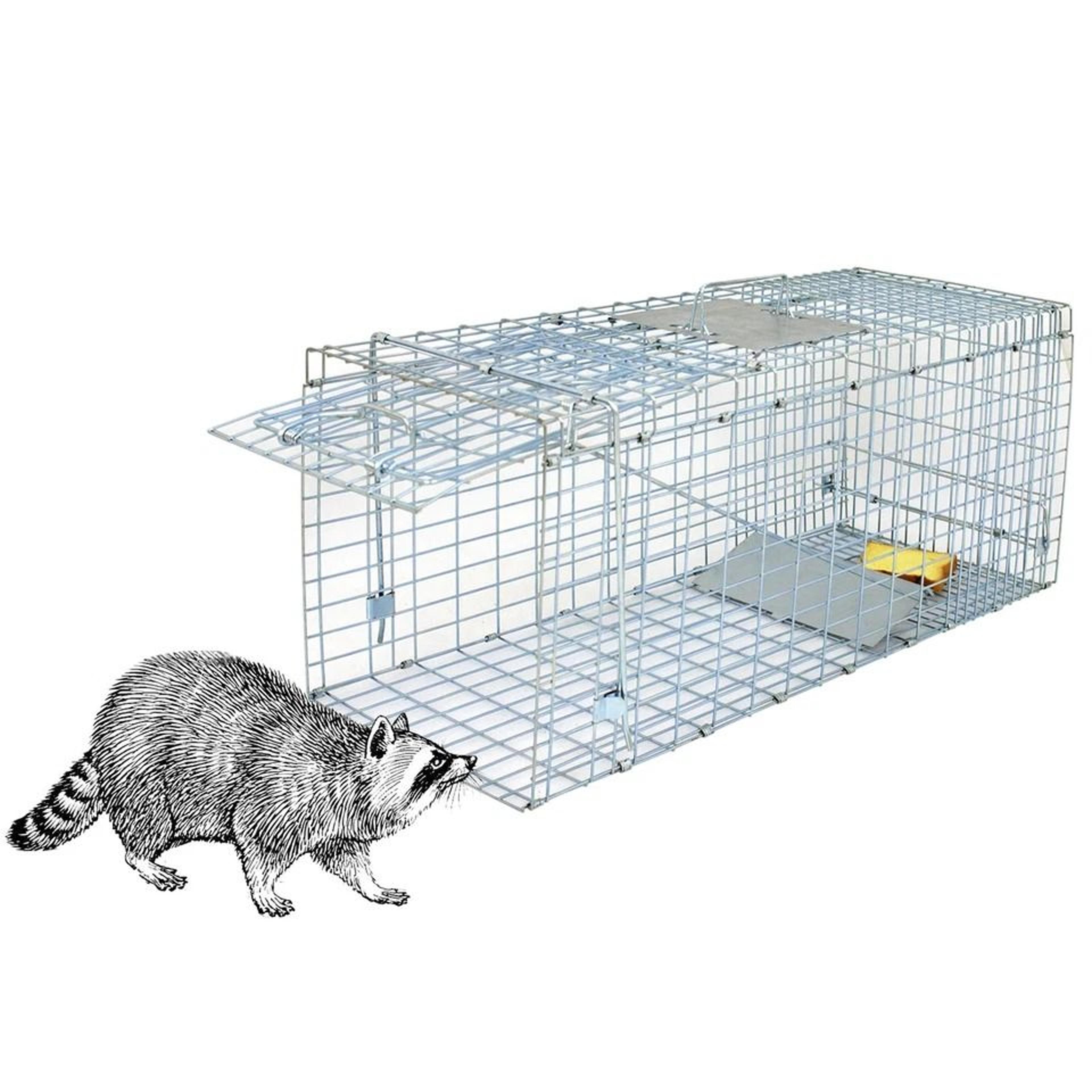 humane cat trap, heavy duty live animal cage trap, folding raccoon traps, safe for squirrels, rabbits, possums, and more