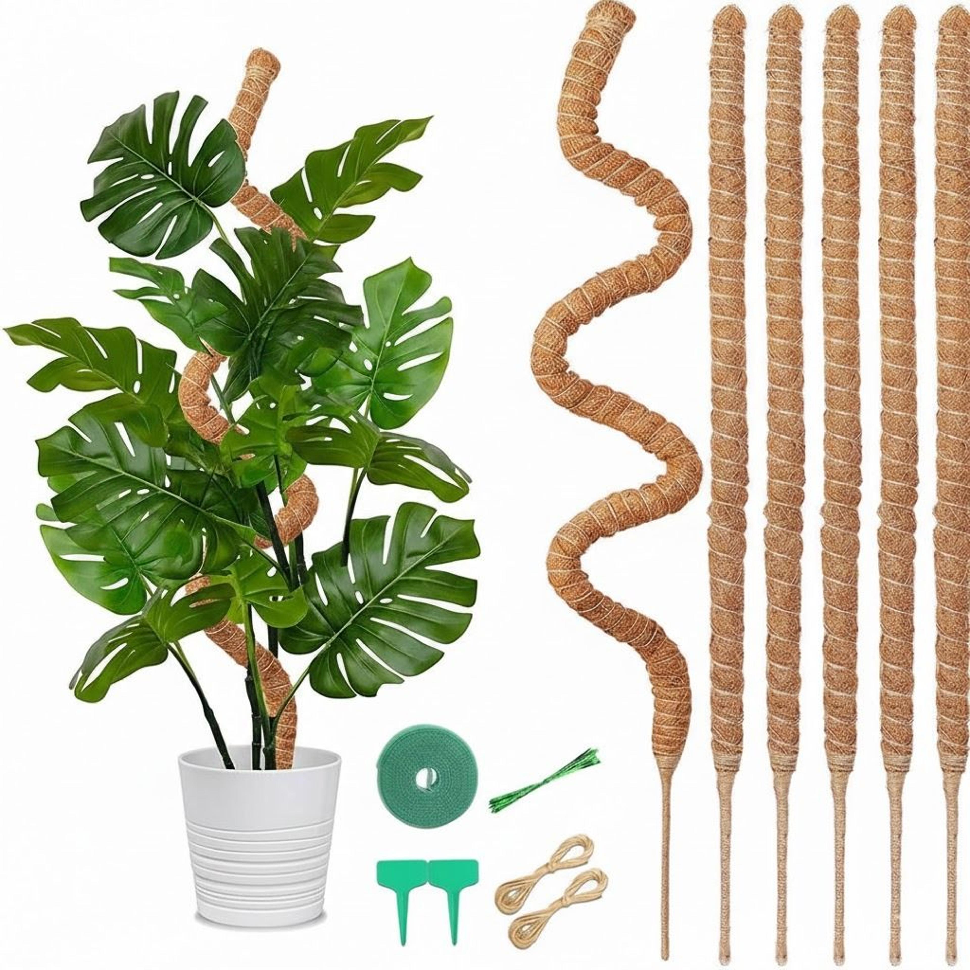 bendable moss pole plant support stakes for monstera, indoor climbing plants, support poles for strong growth
