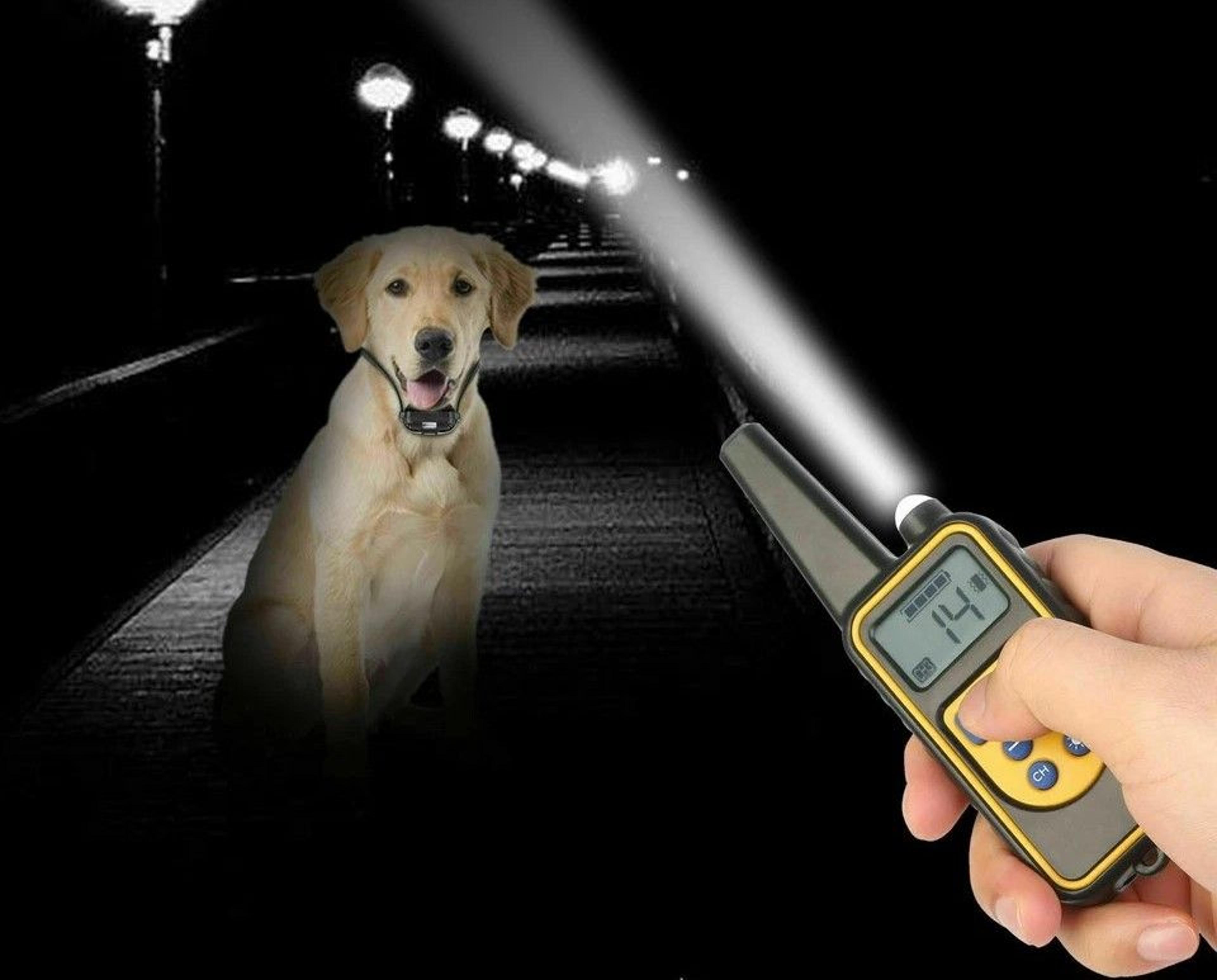 remote dog shock training collar rechargeable, waterproof lcd pet training system with range