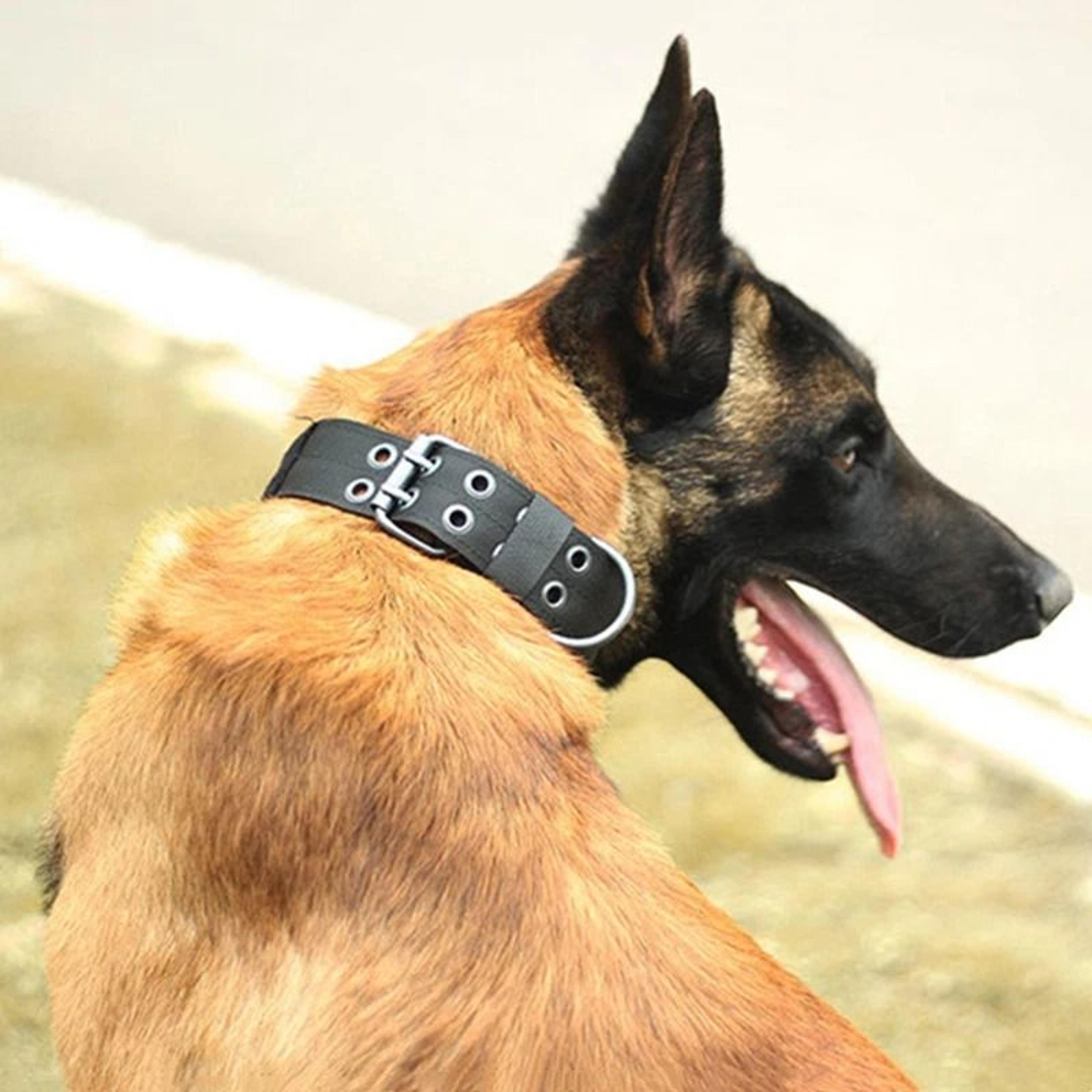 heavy duty tactical dog collar for large breeds military-grade k9 collar with metal buckle