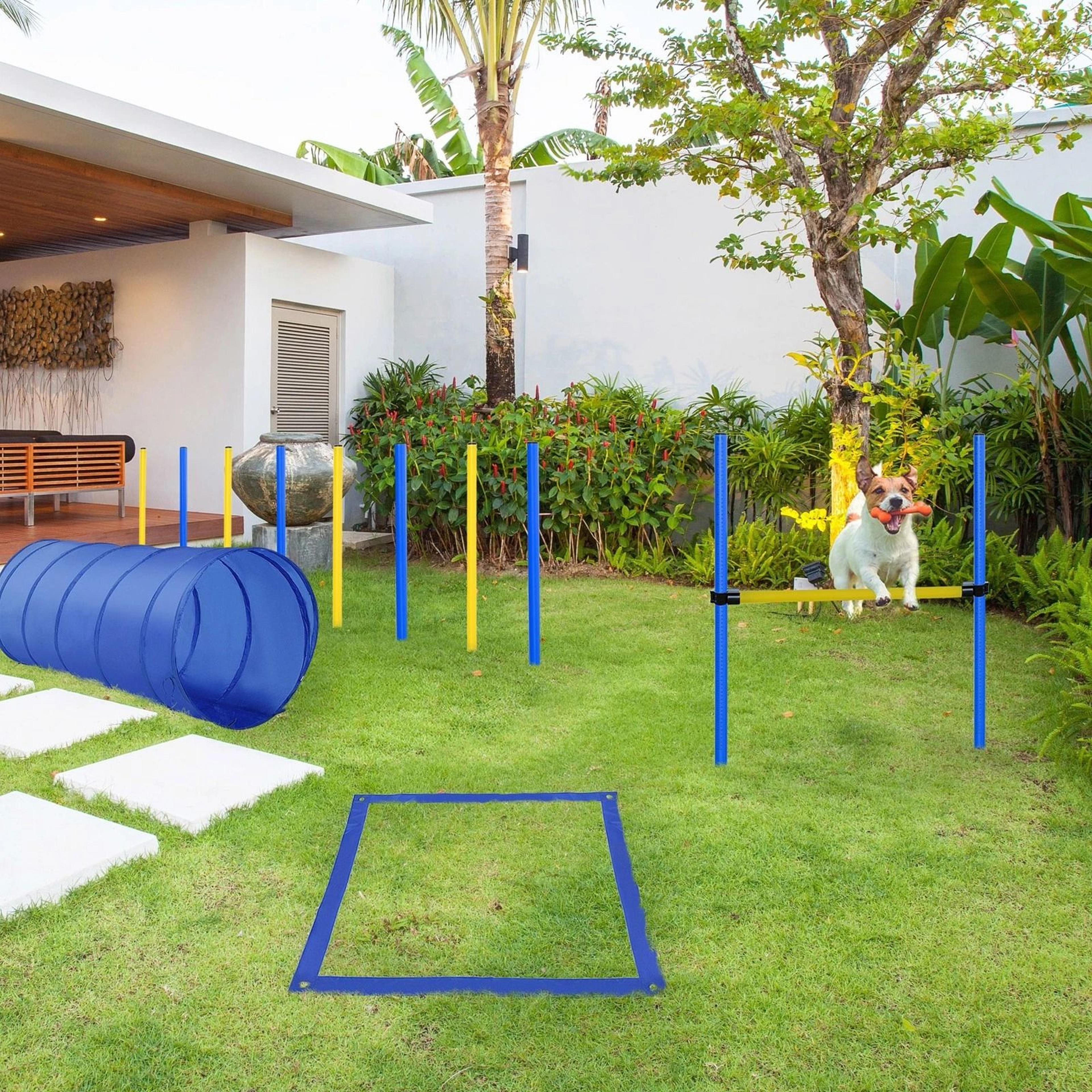 backyard dog agility training kit with jumps, tunnel & obstacle course for dogs