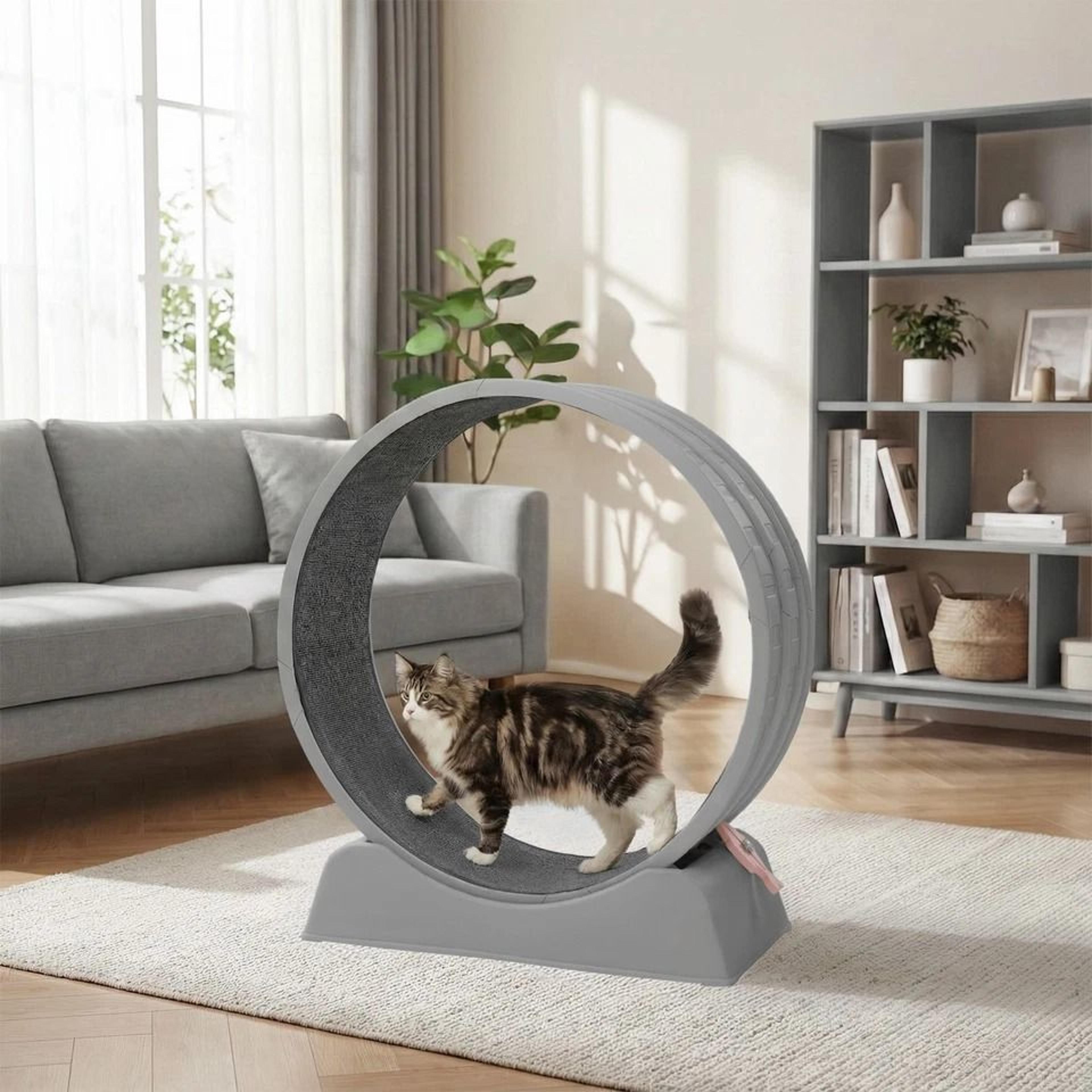 silent cat exercise wheel treadmill for weight loss & health, indoor treadmill for cats