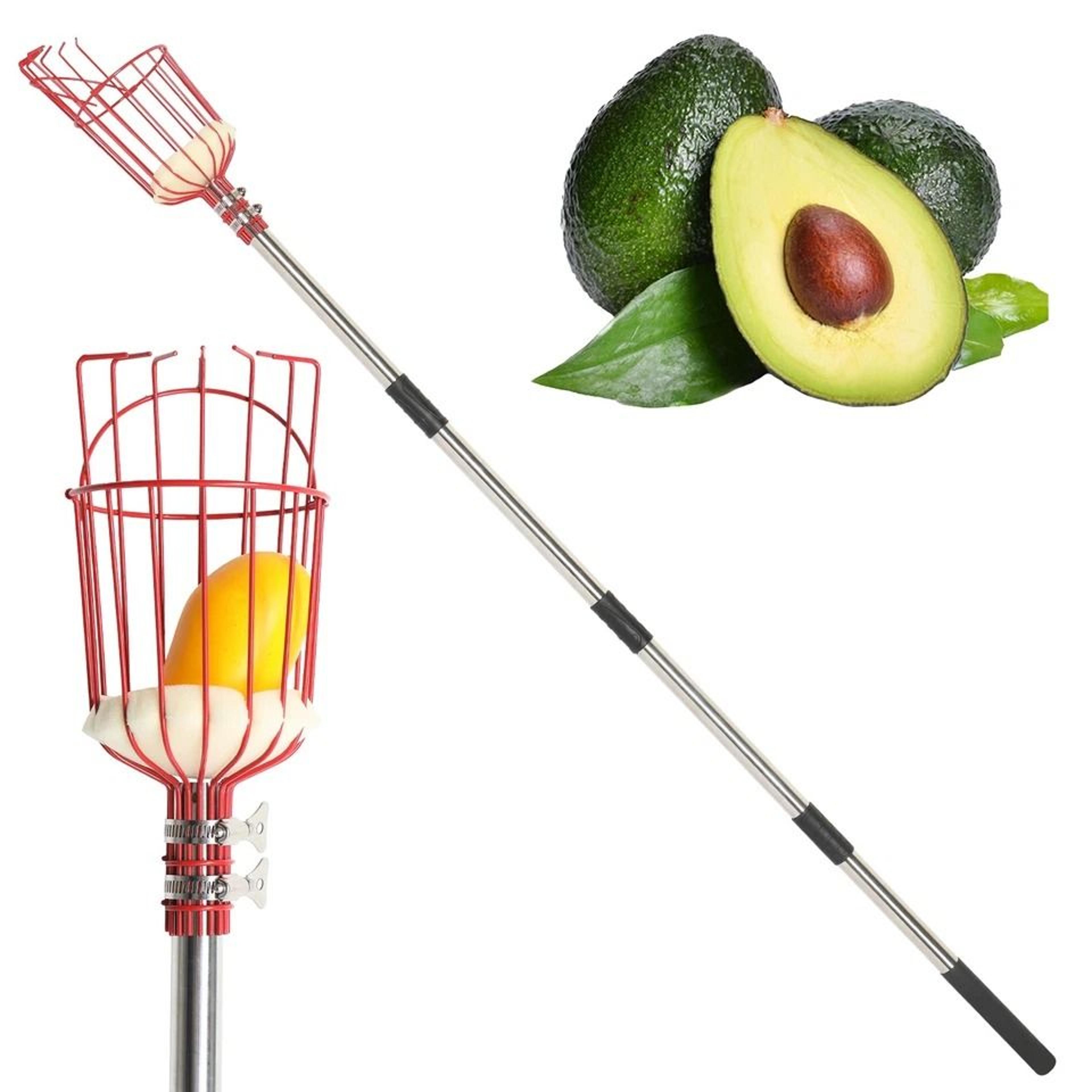 adjustable fruit picker tool with basket lightweight stainless steel pole for effortless fruit harvesting