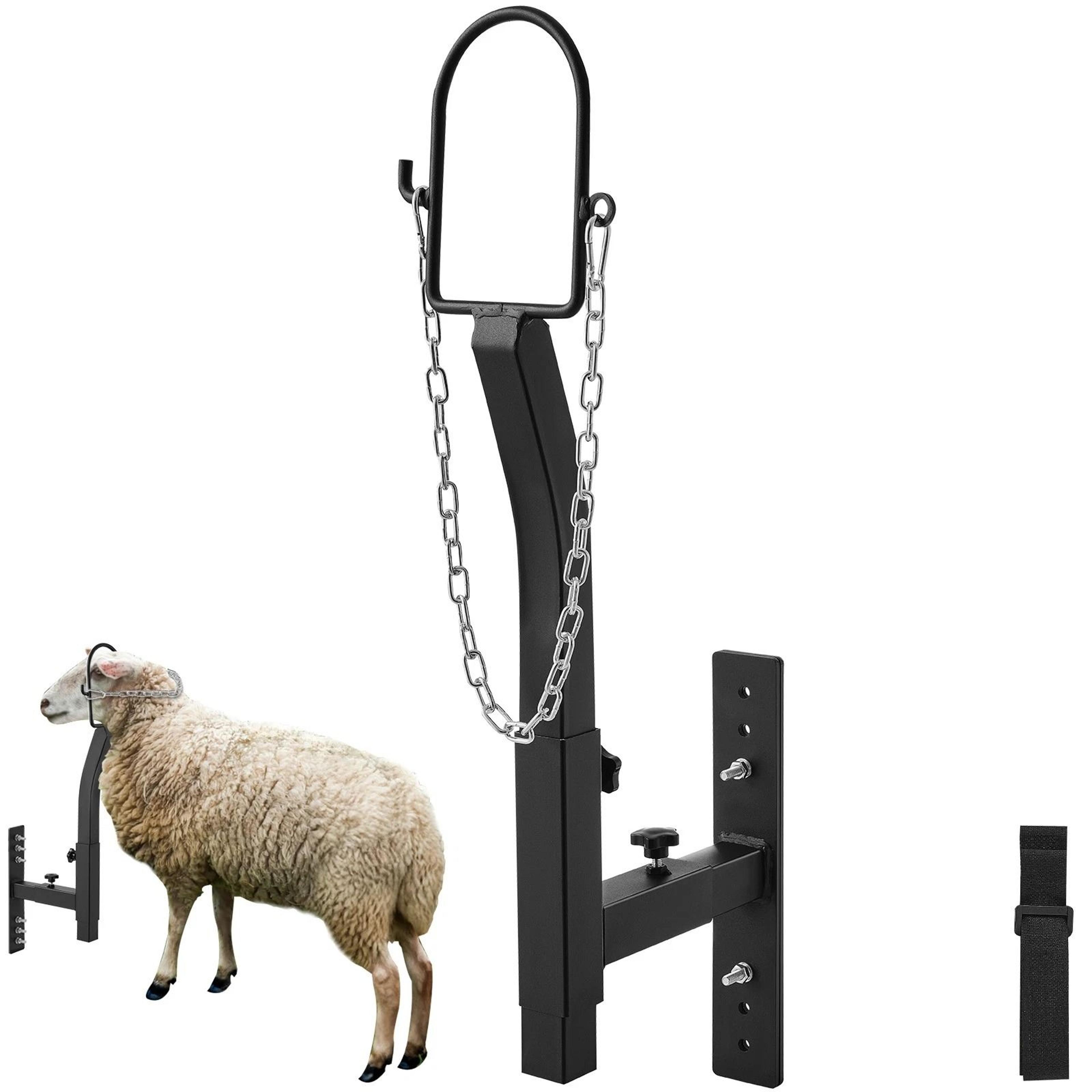 adjustable livestock trimming stand for goats with nose loop headpiece ideal for milking & trimming