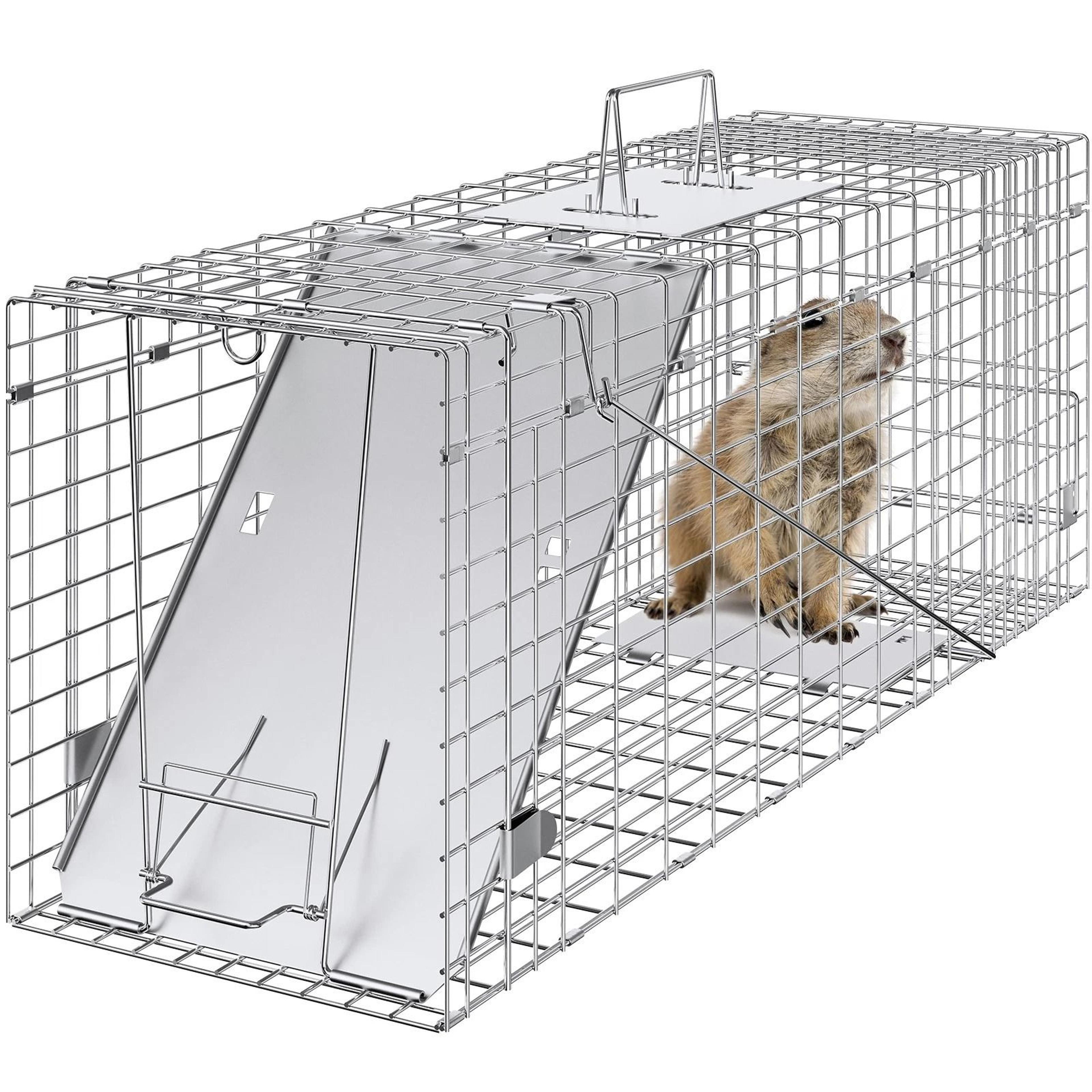 live animal cage trap humane trap for cats, squirrels, mice & more