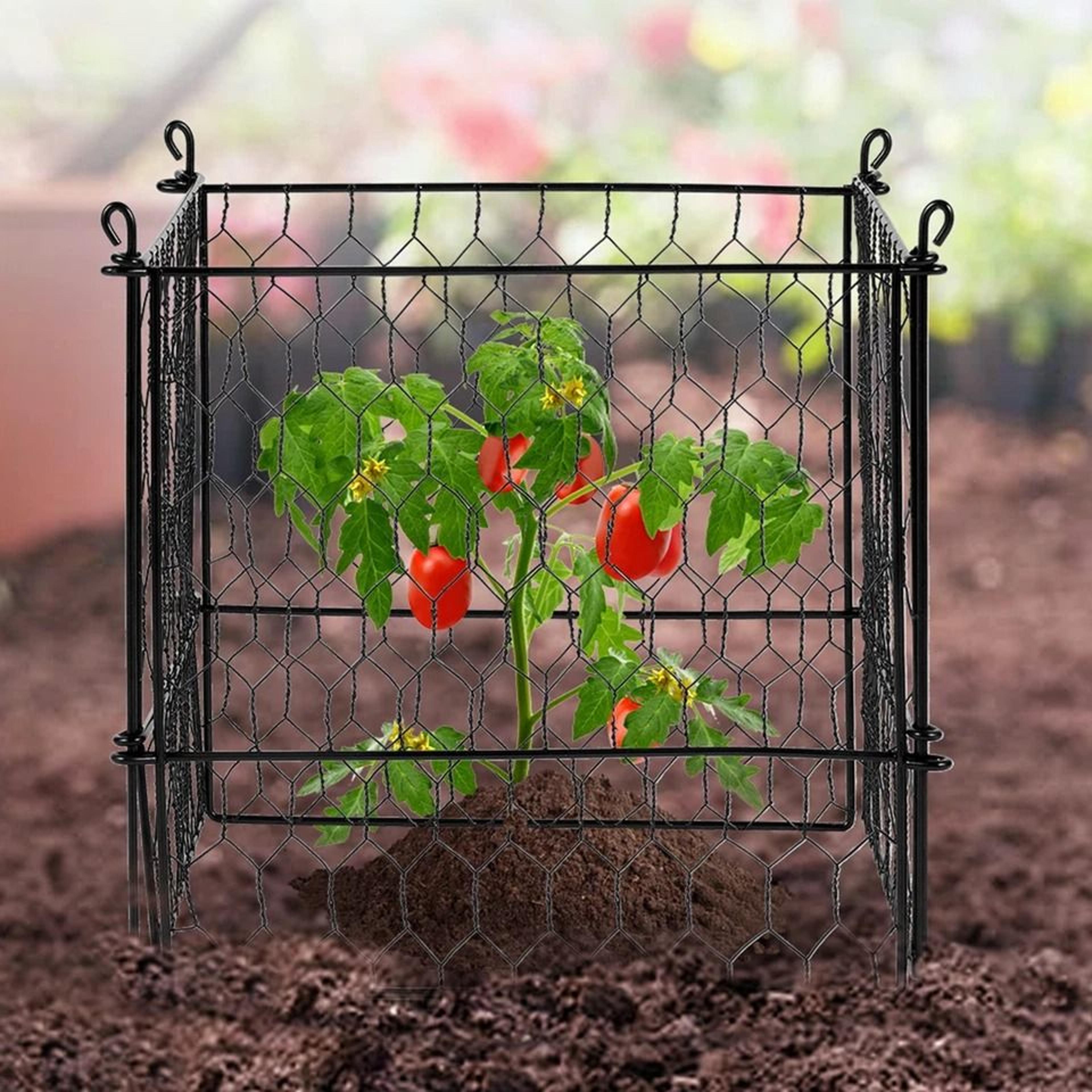 animal protector metal plant cage garden defense