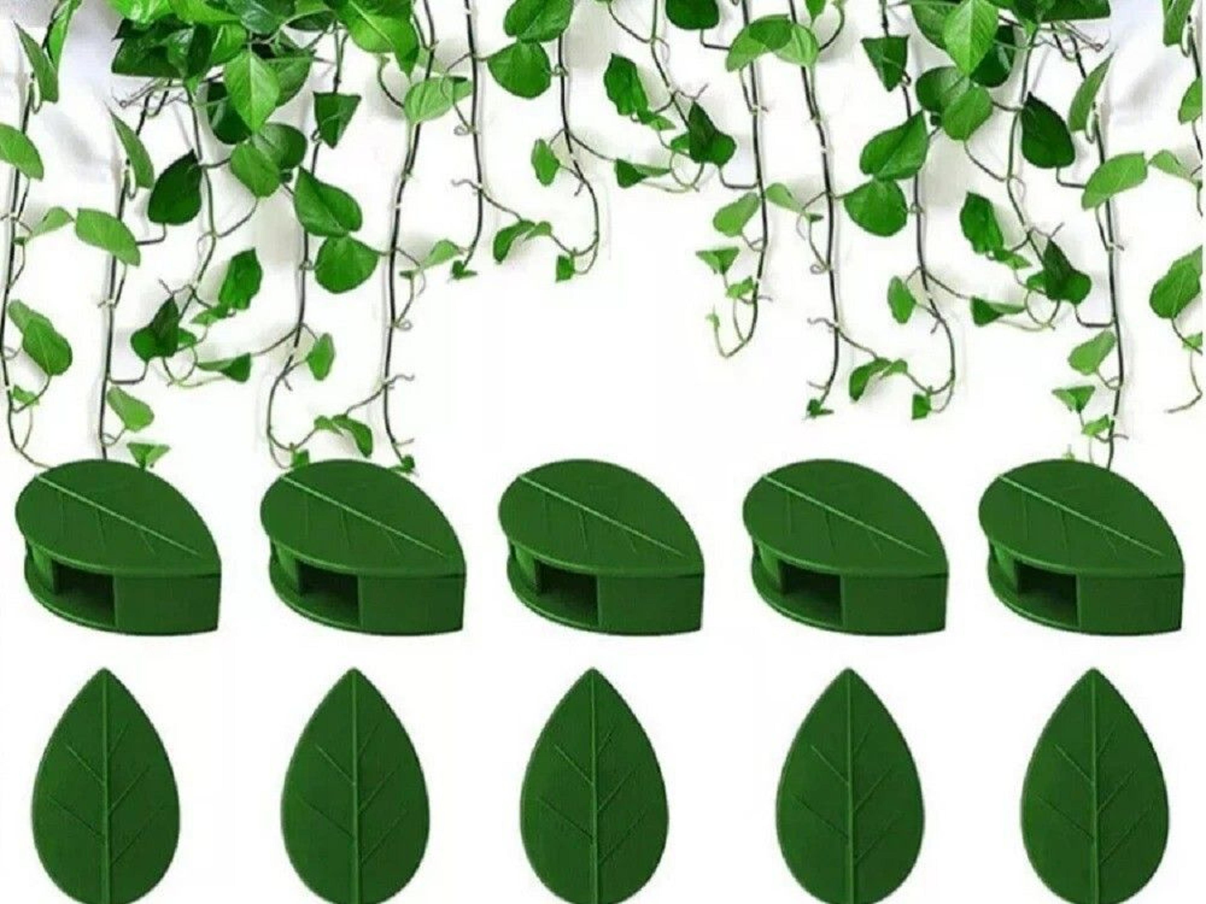self adhesive plant clips for wall vine support ideal for climbing plants and indoor decor