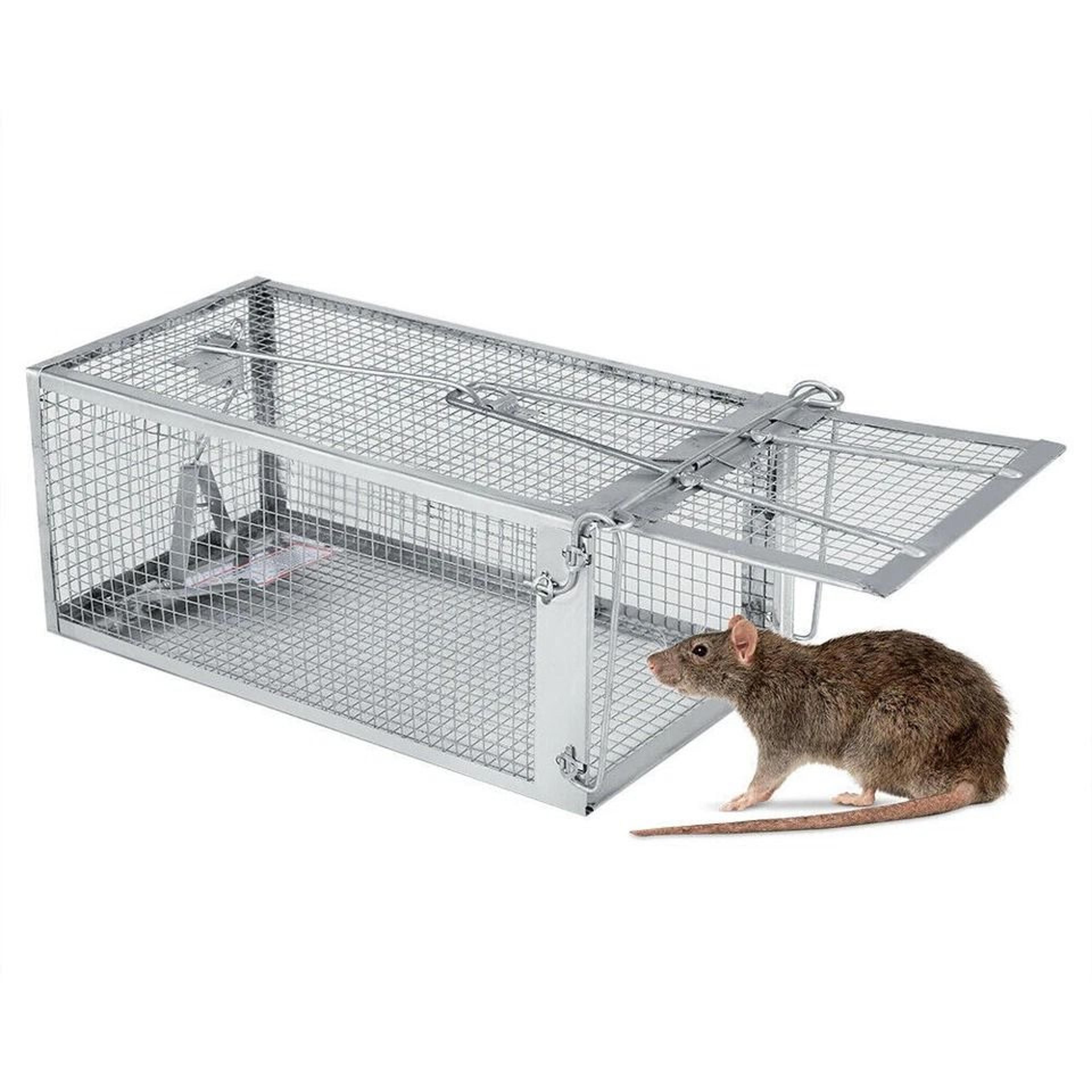 humane mouse trap cage reusable live catch rat and rodent trap for indoor outdoor use