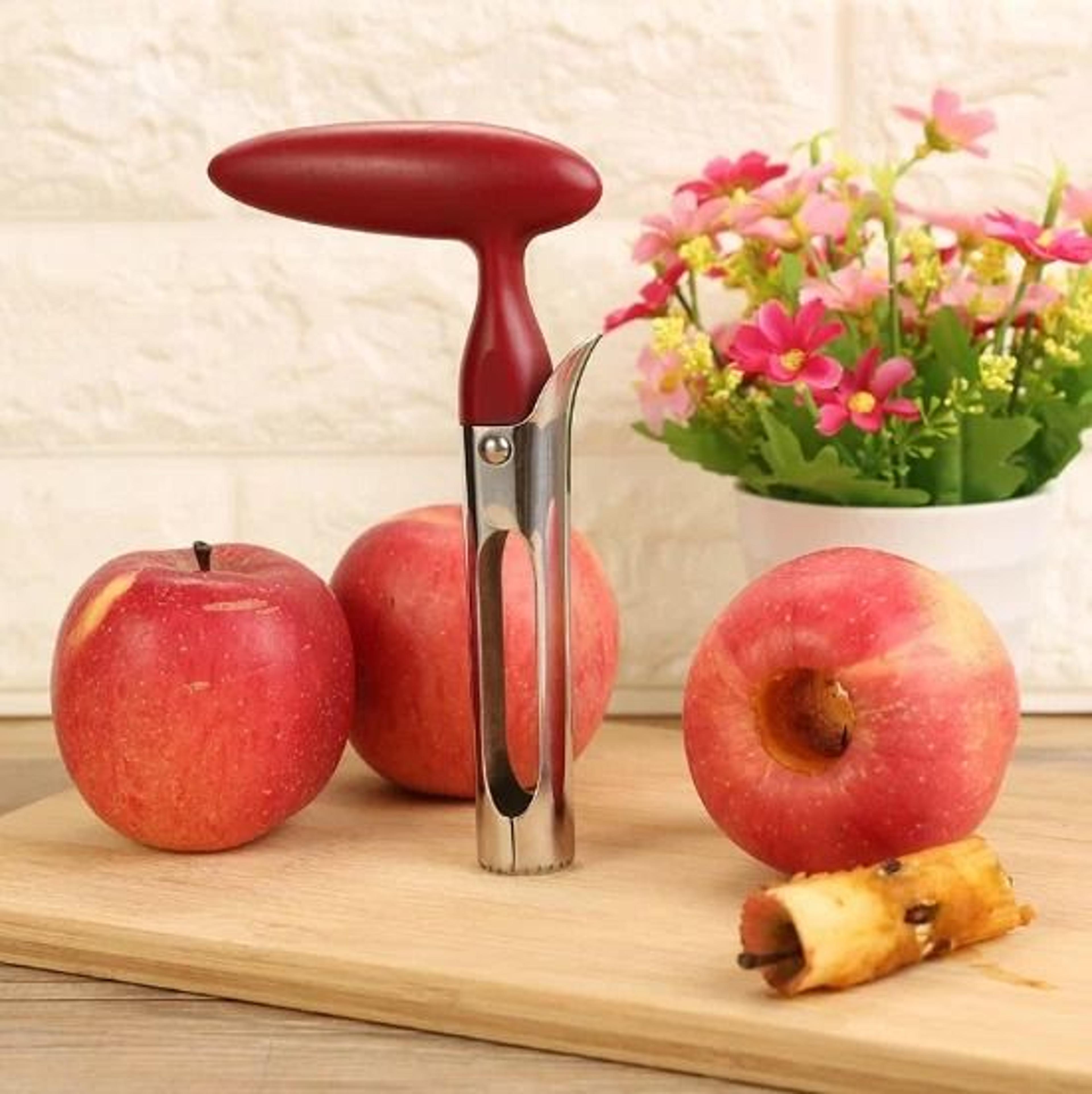 stainless steel apple corer set fruit core remover kitchen tool