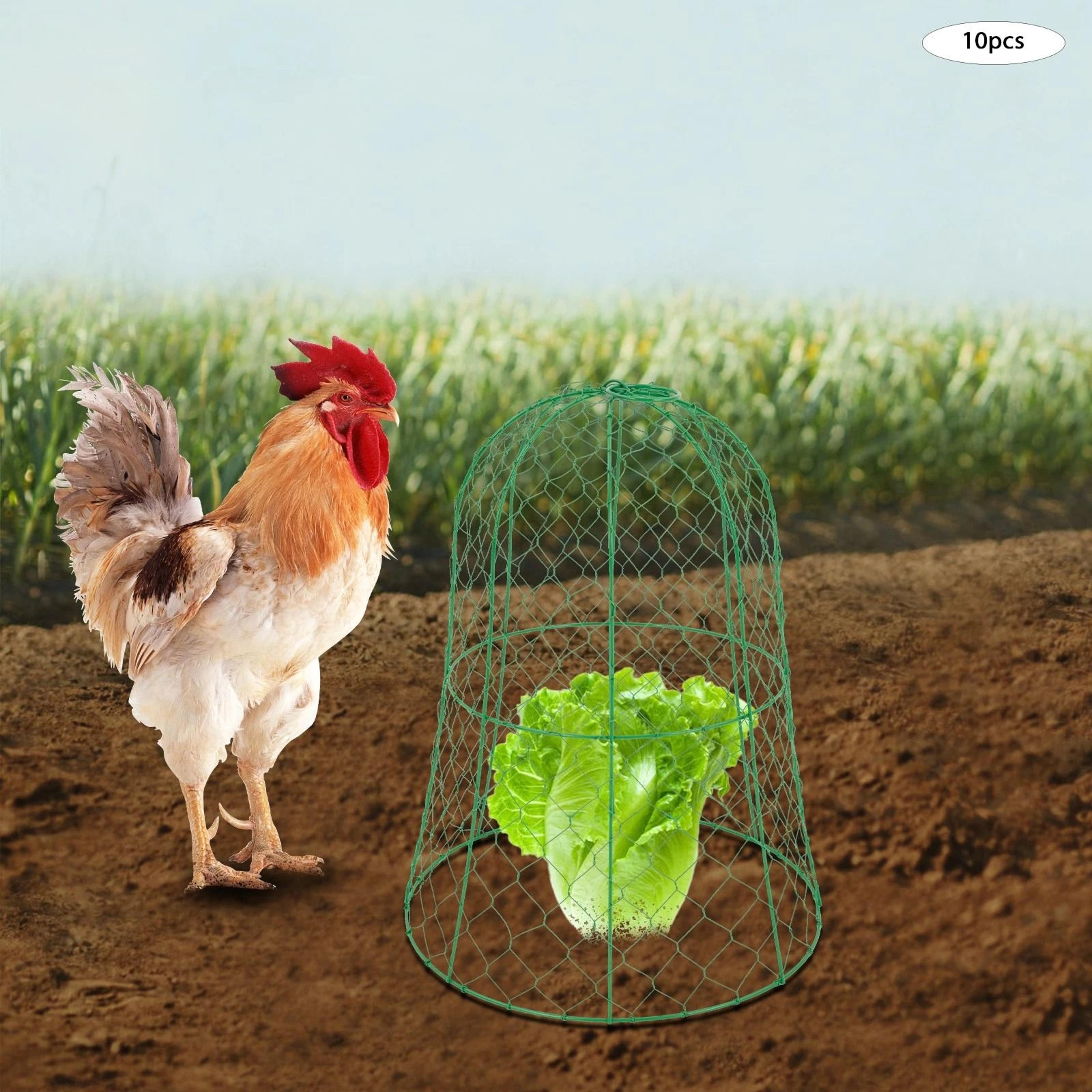 garden chicken wire cloche plant protector covers for vegetables, flowers & seedlings