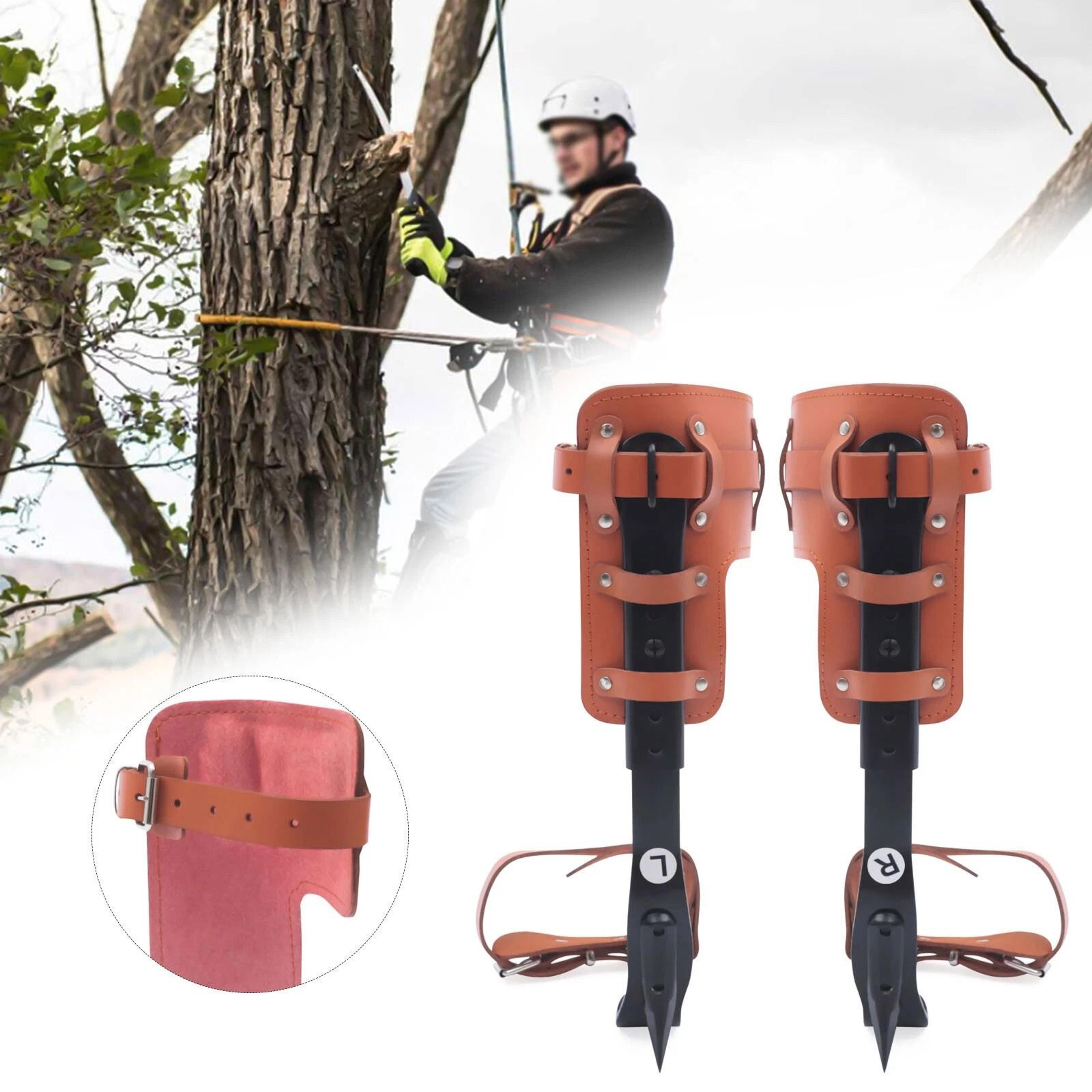 adjustable pole climber gear with steel tree climbing spikes & climbing spurs