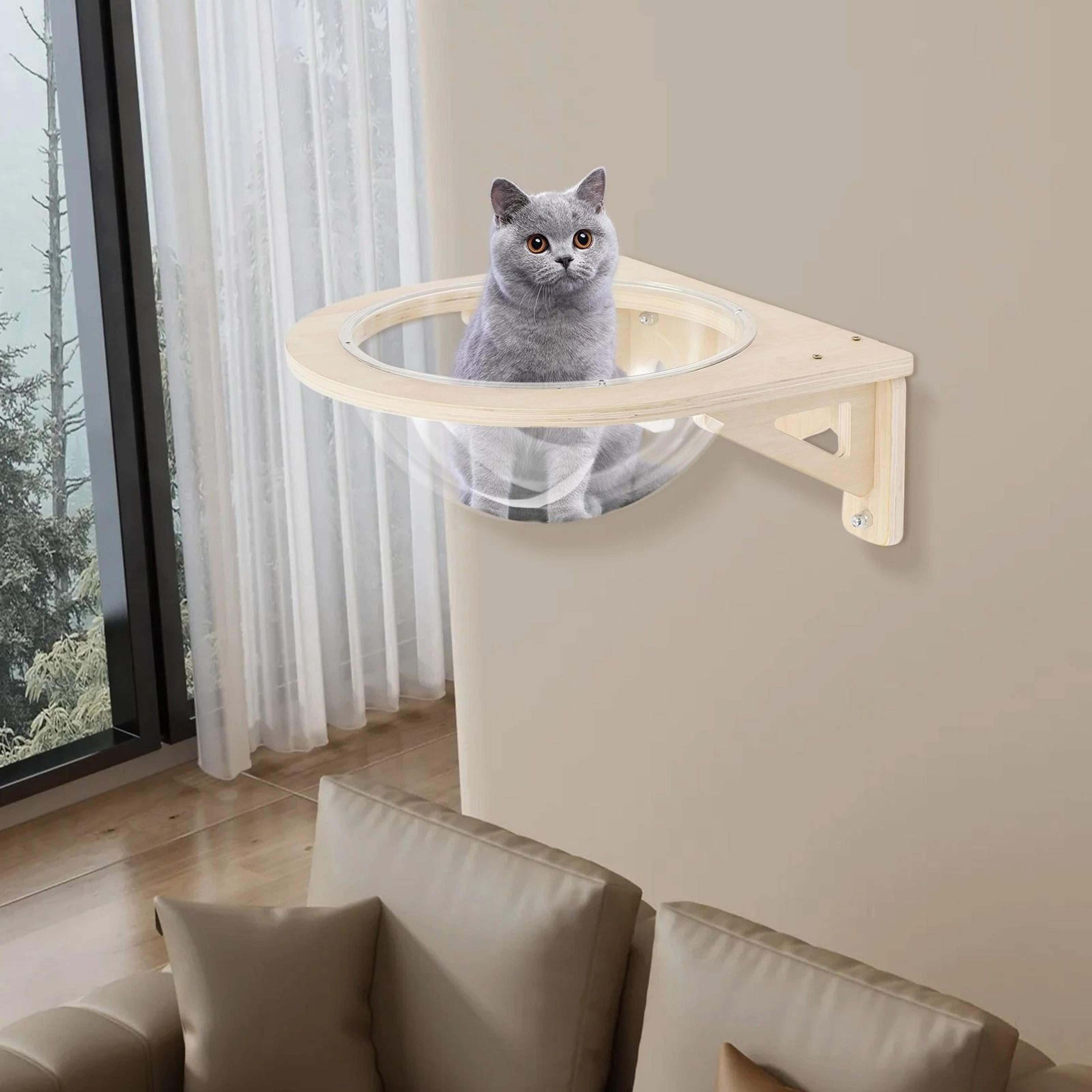 premium wall mounted wooden cat shelf & transparent cat capsule lounge for play, rest & climb
