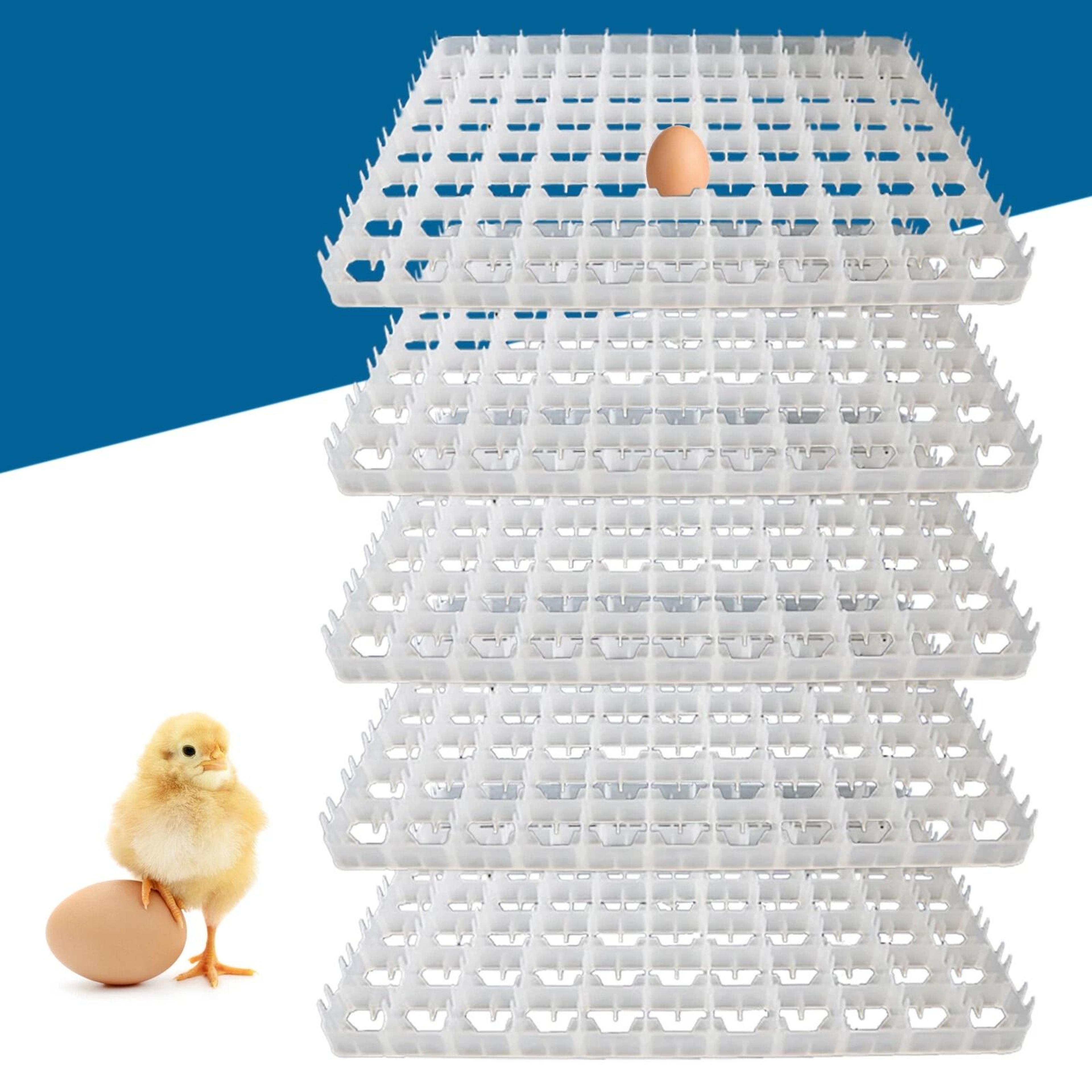 premium egg incubator trays durable plastic incubator tray set for eggs