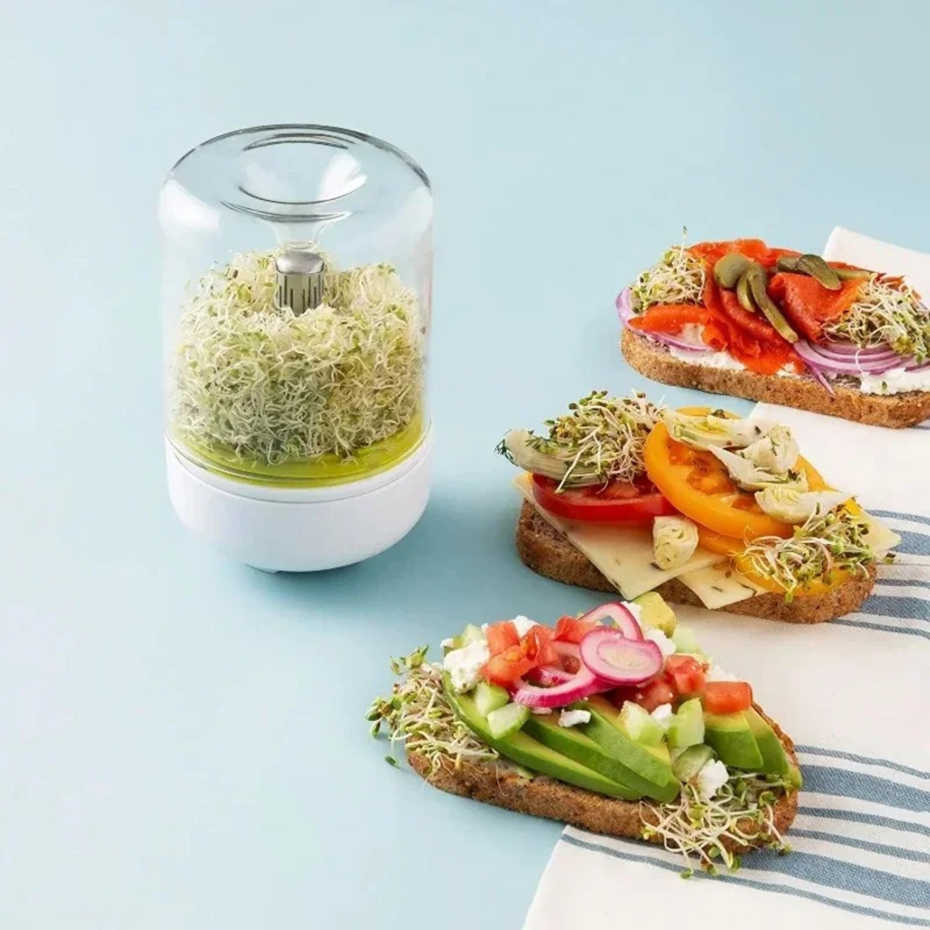 reusable countertop bean sprouter kit – seed sprouting system for household kitchen