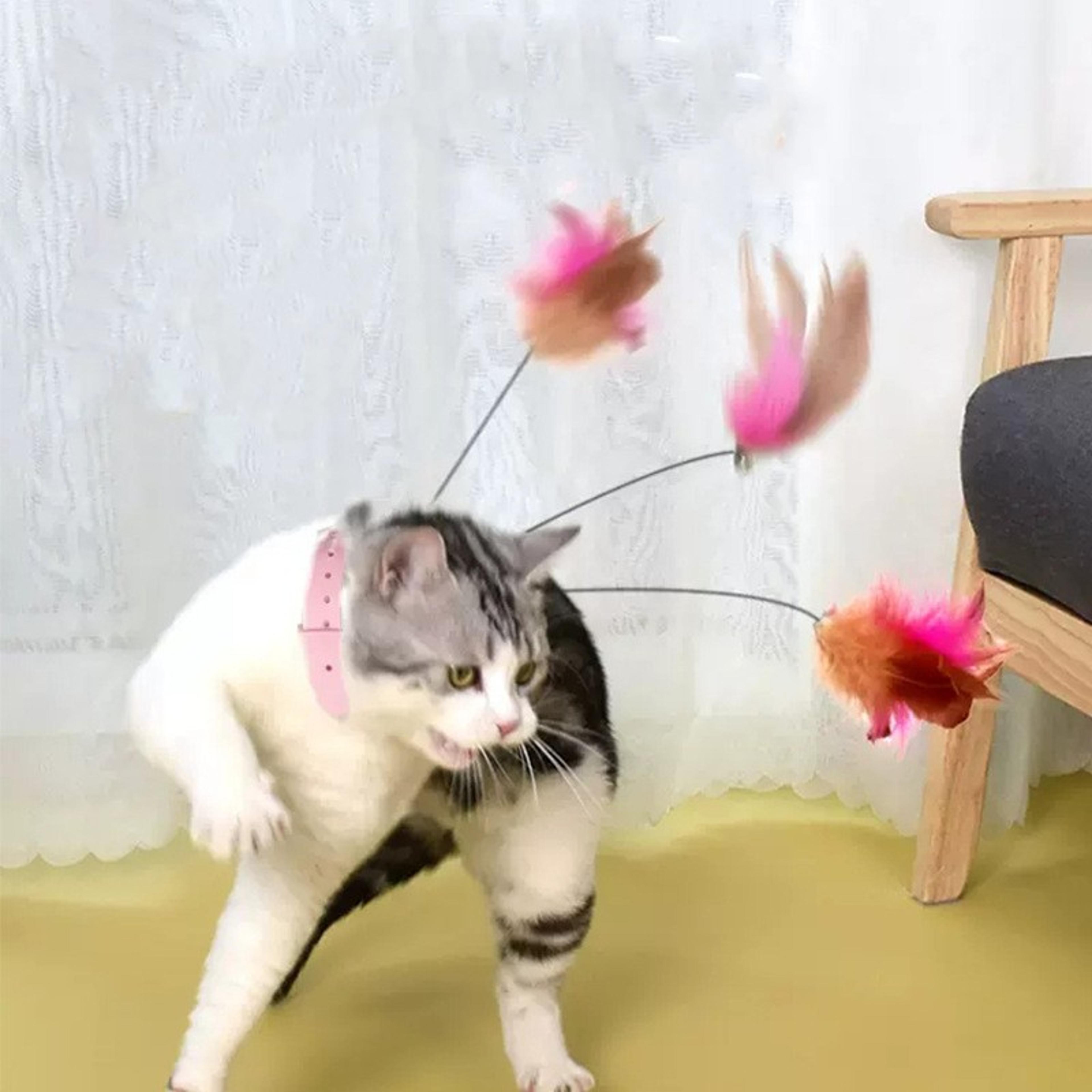 interactive feather cat wand toy with bell teaser for active play and training