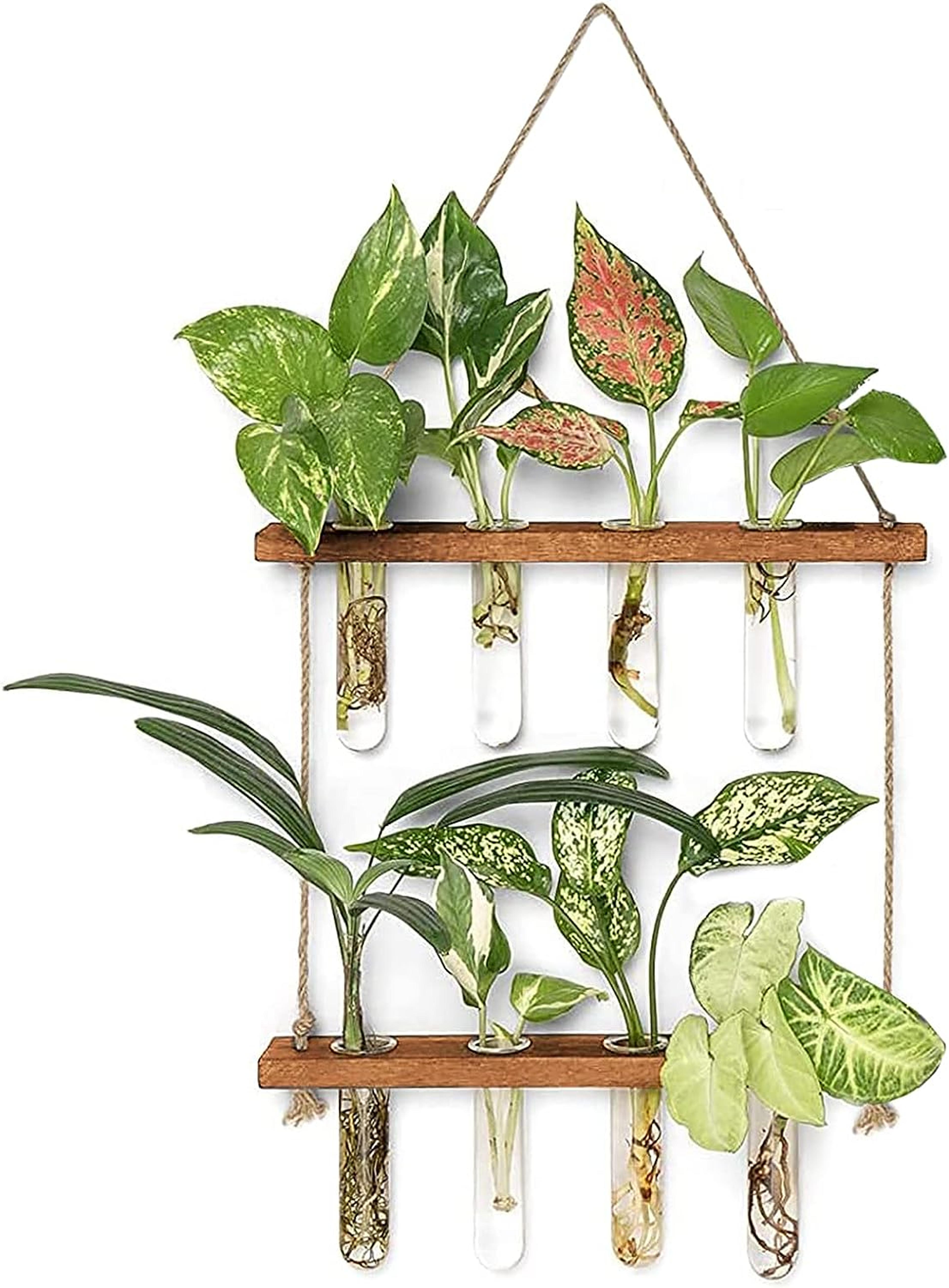 tier wall hanging planter with glass terrarium vase & wooden frame