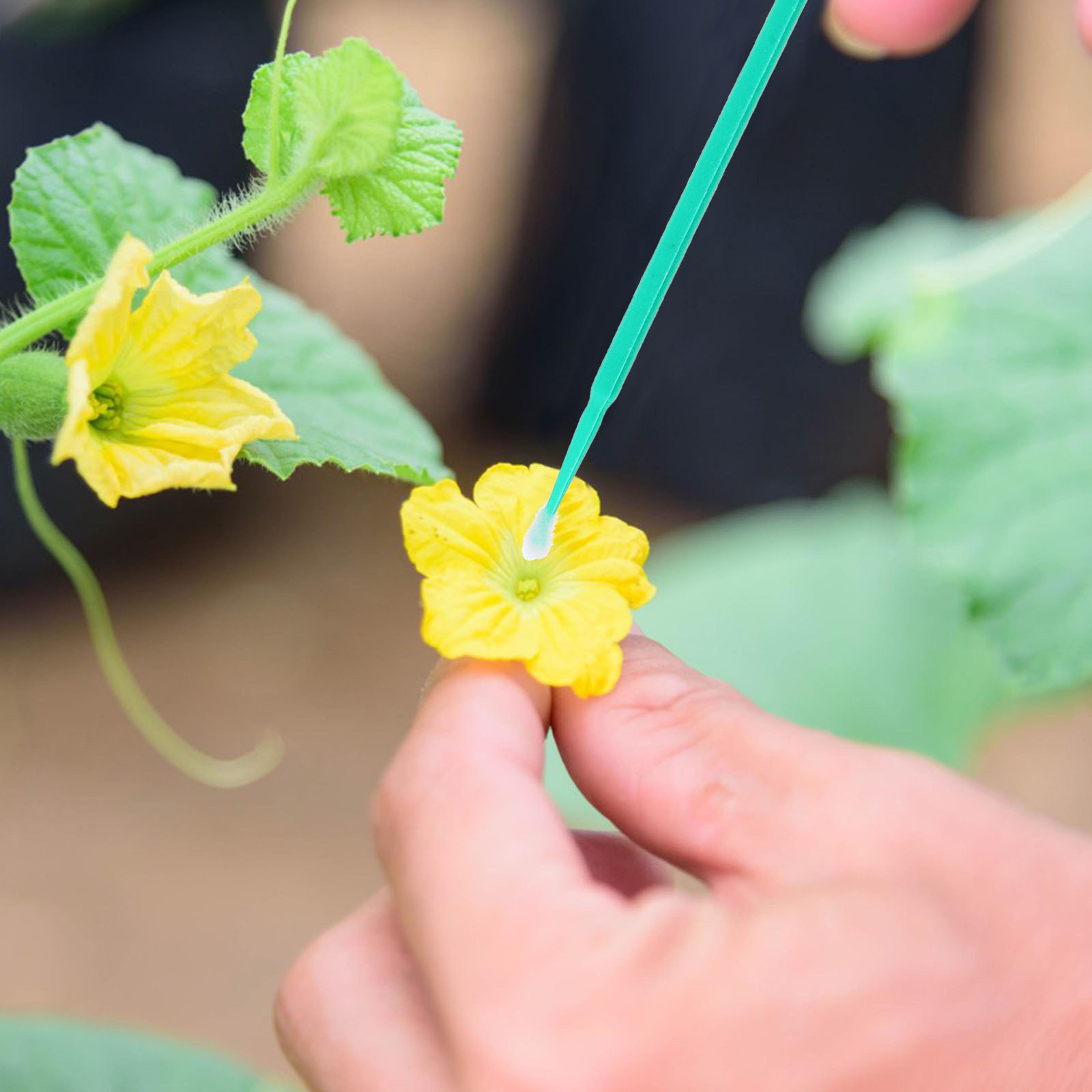 hand pollination tool set with soft pollination pen for fruit trees, vegetables & succulents
