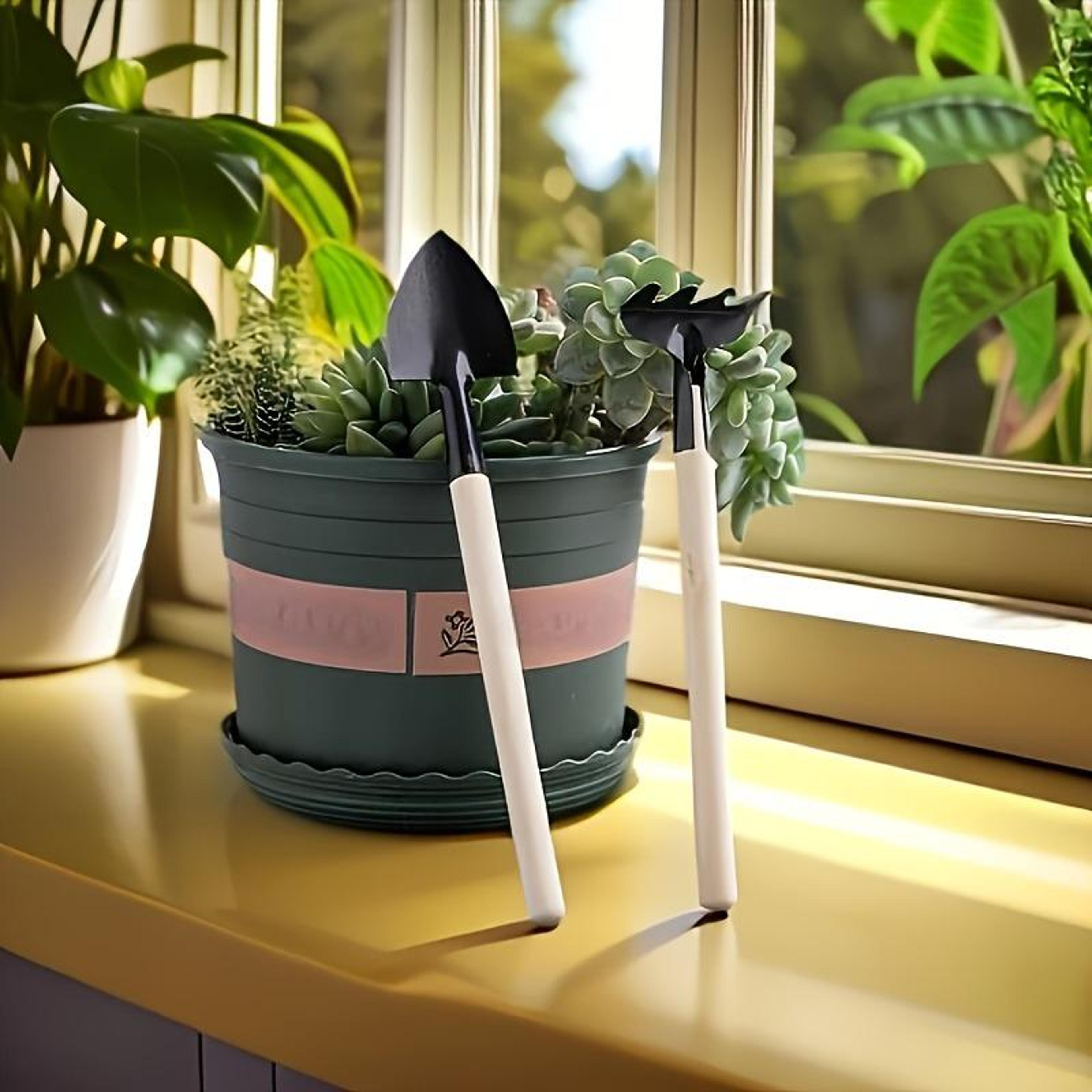 mini garden tool set with wooden handles for succulents, bonsai & indoor plant care