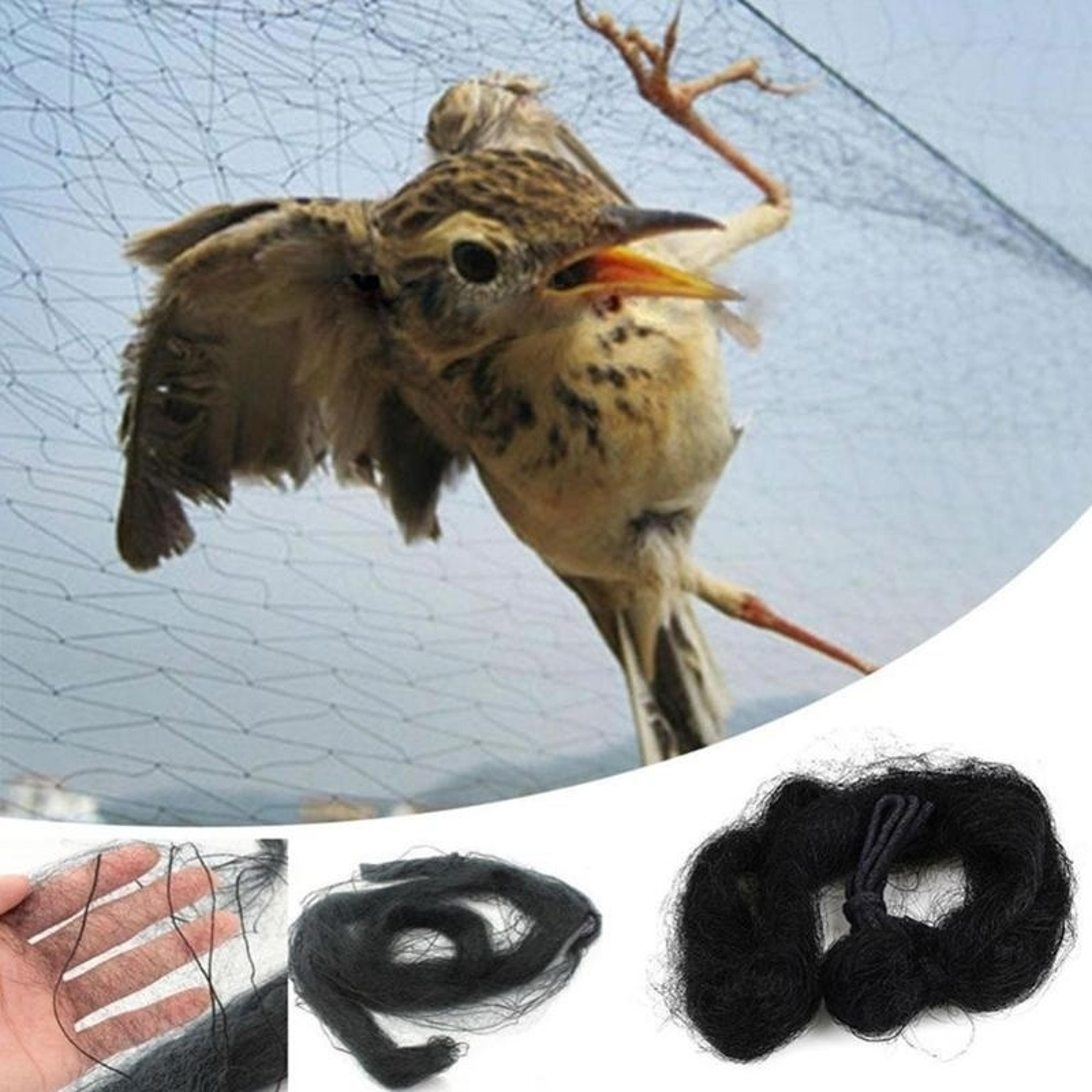 bird netting for garden & orchard reusable fruit tree protection mesh
