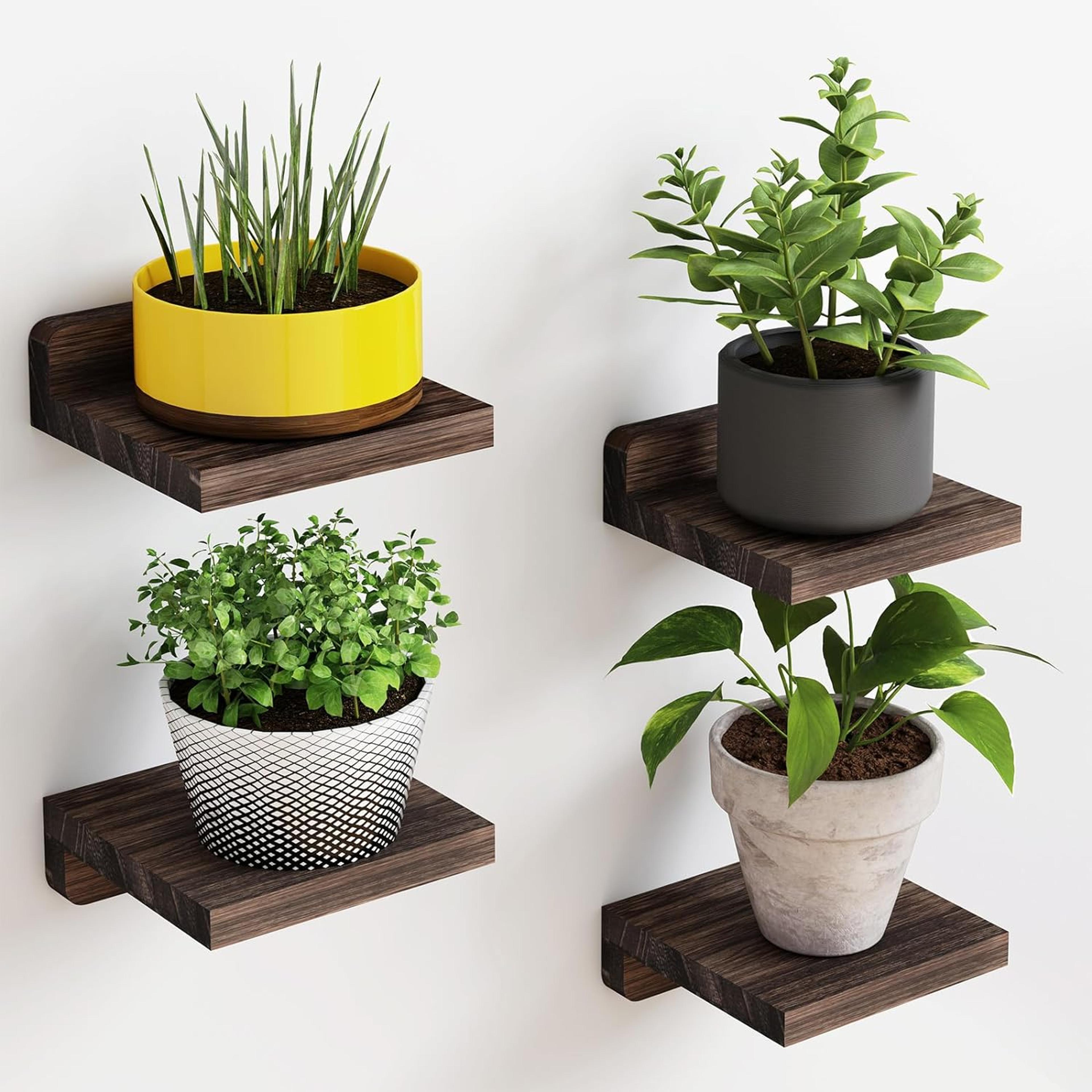 small floating shelves wooden mini wall display ledges with dual mounting options