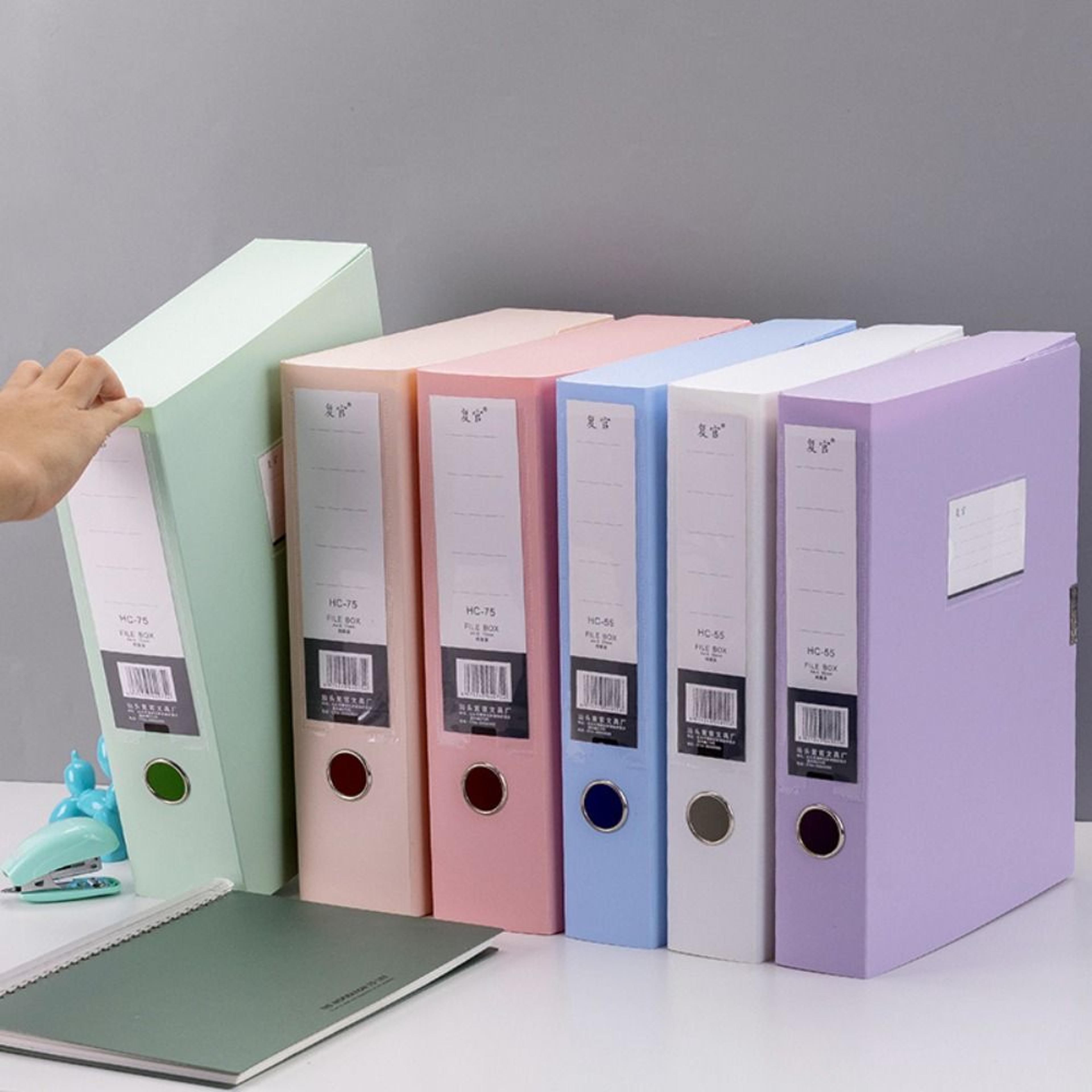 large capacity document organizer and file storage box