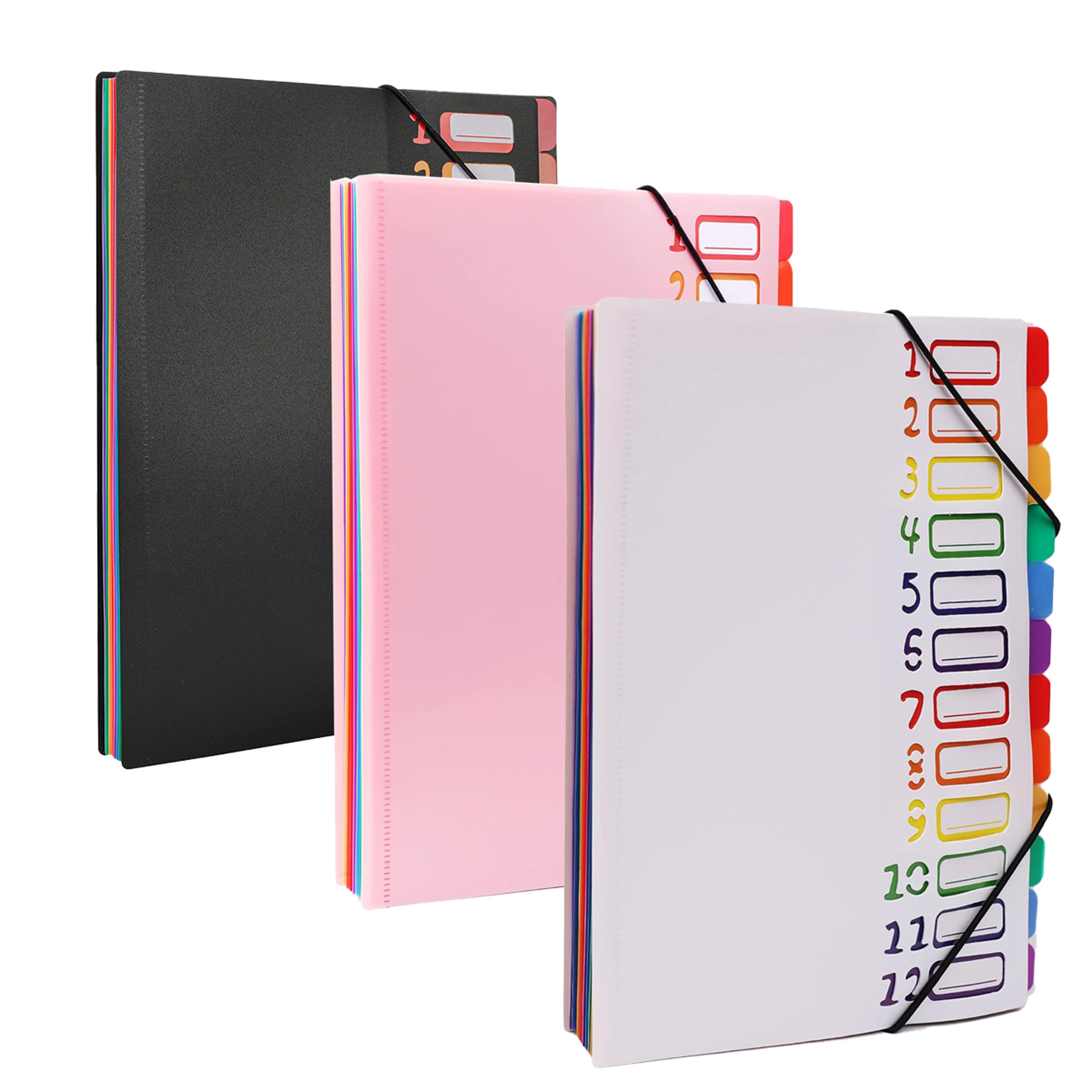 pocket expanding file organizer for a4 and letter documents