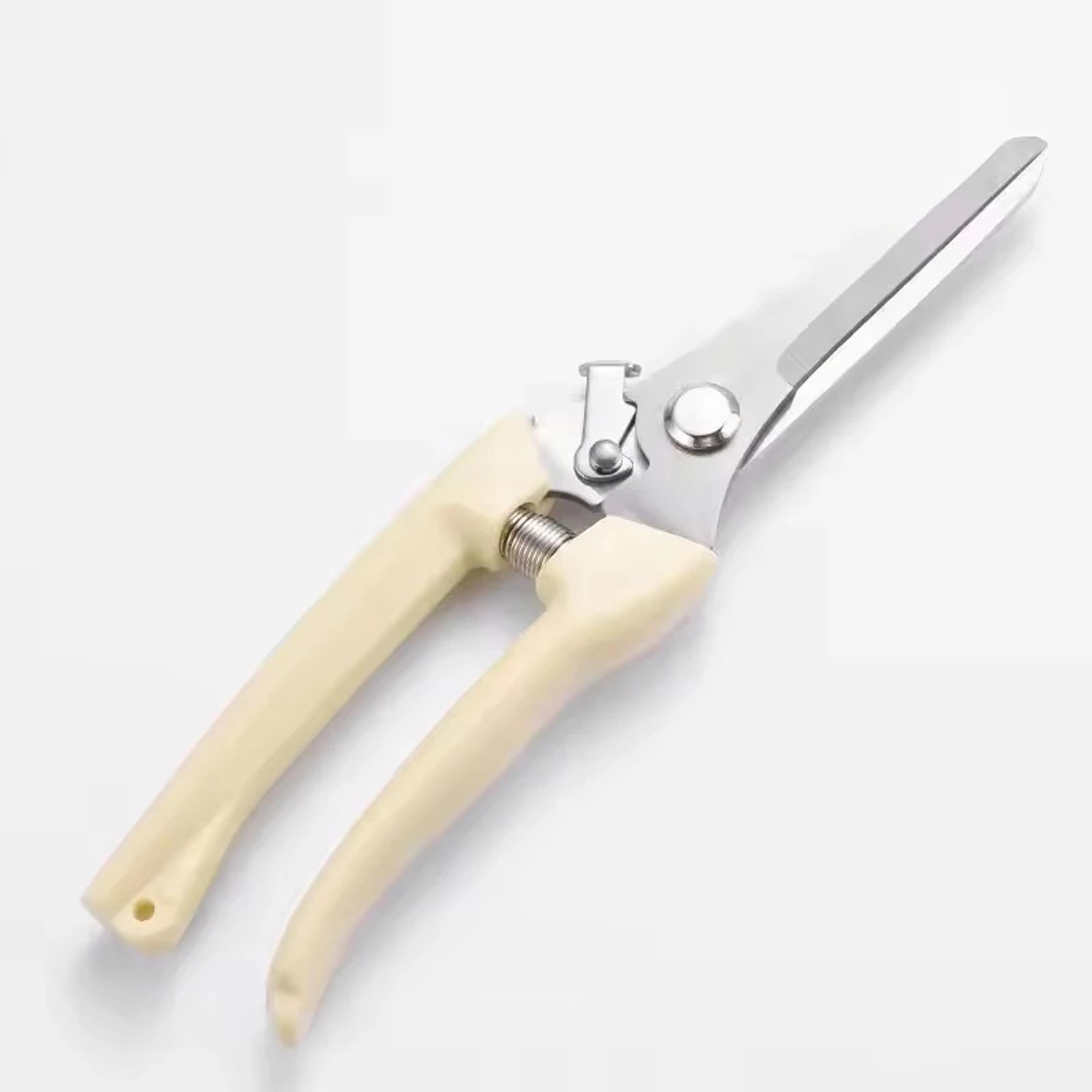 stainless steel garden pruning shears for flowers branches and fruit trees