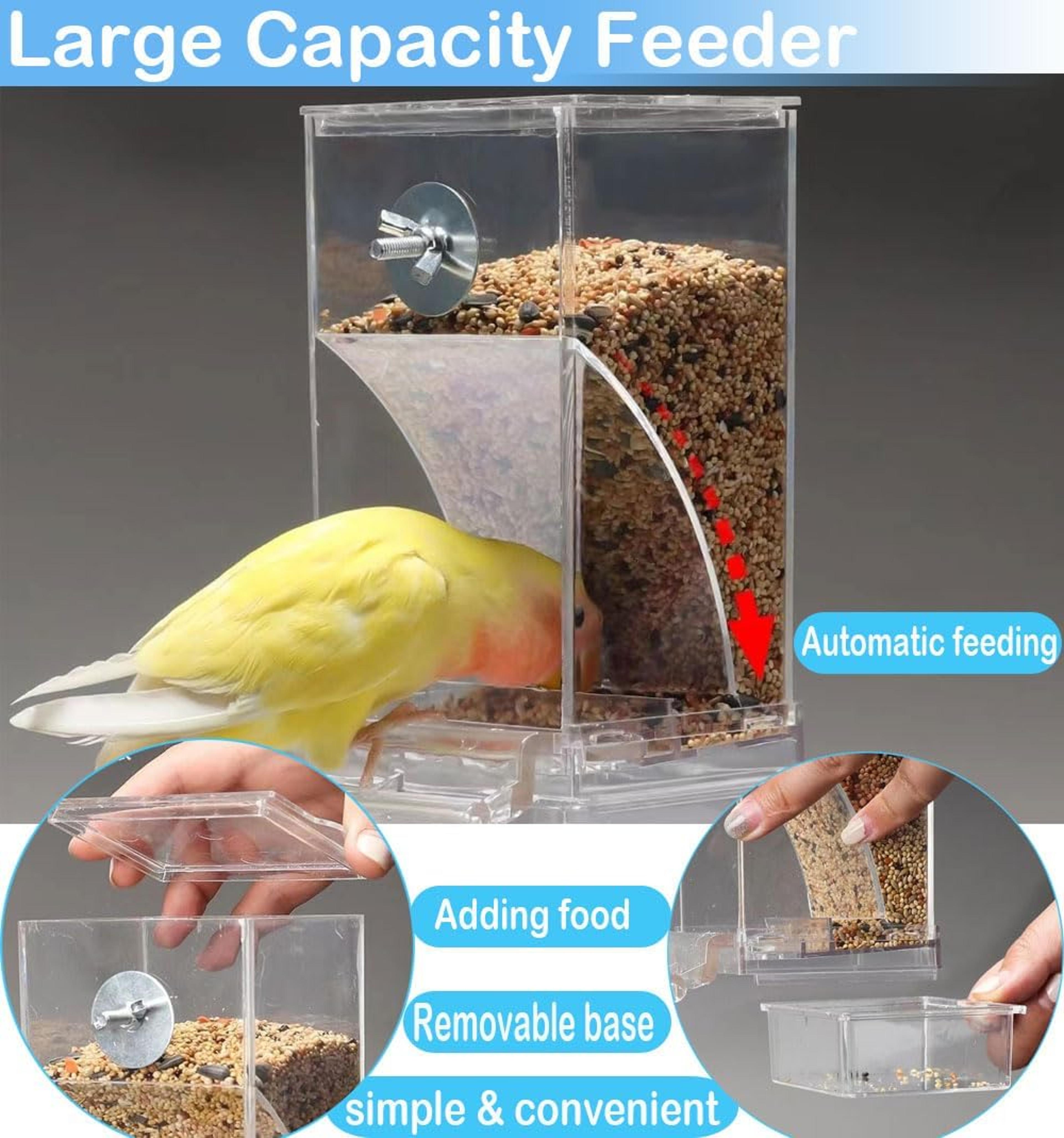 cleanfeed transparent automatic bird feeder & cage food dispenser
