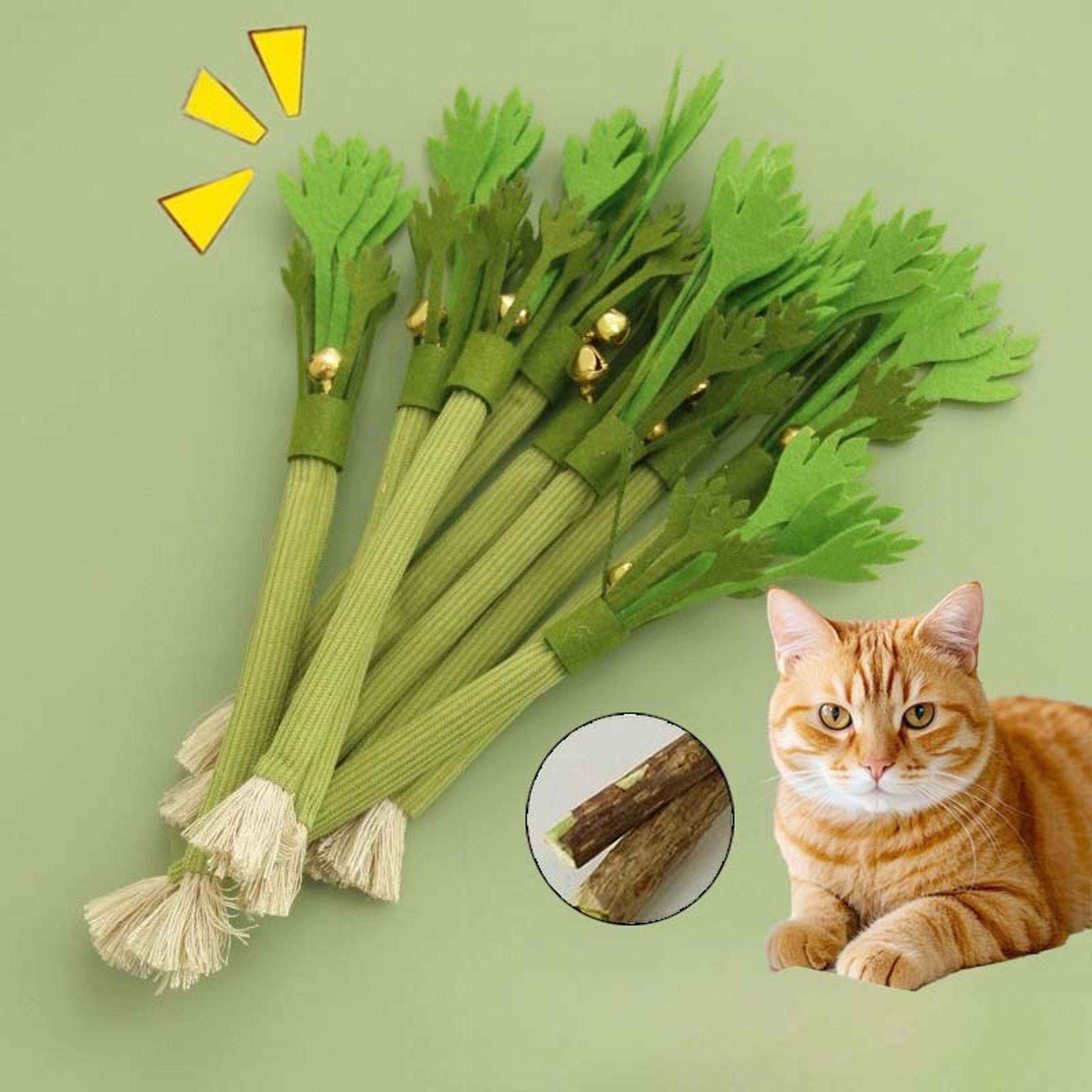 purrmolar catnip chew stick set interactive dental cat toy