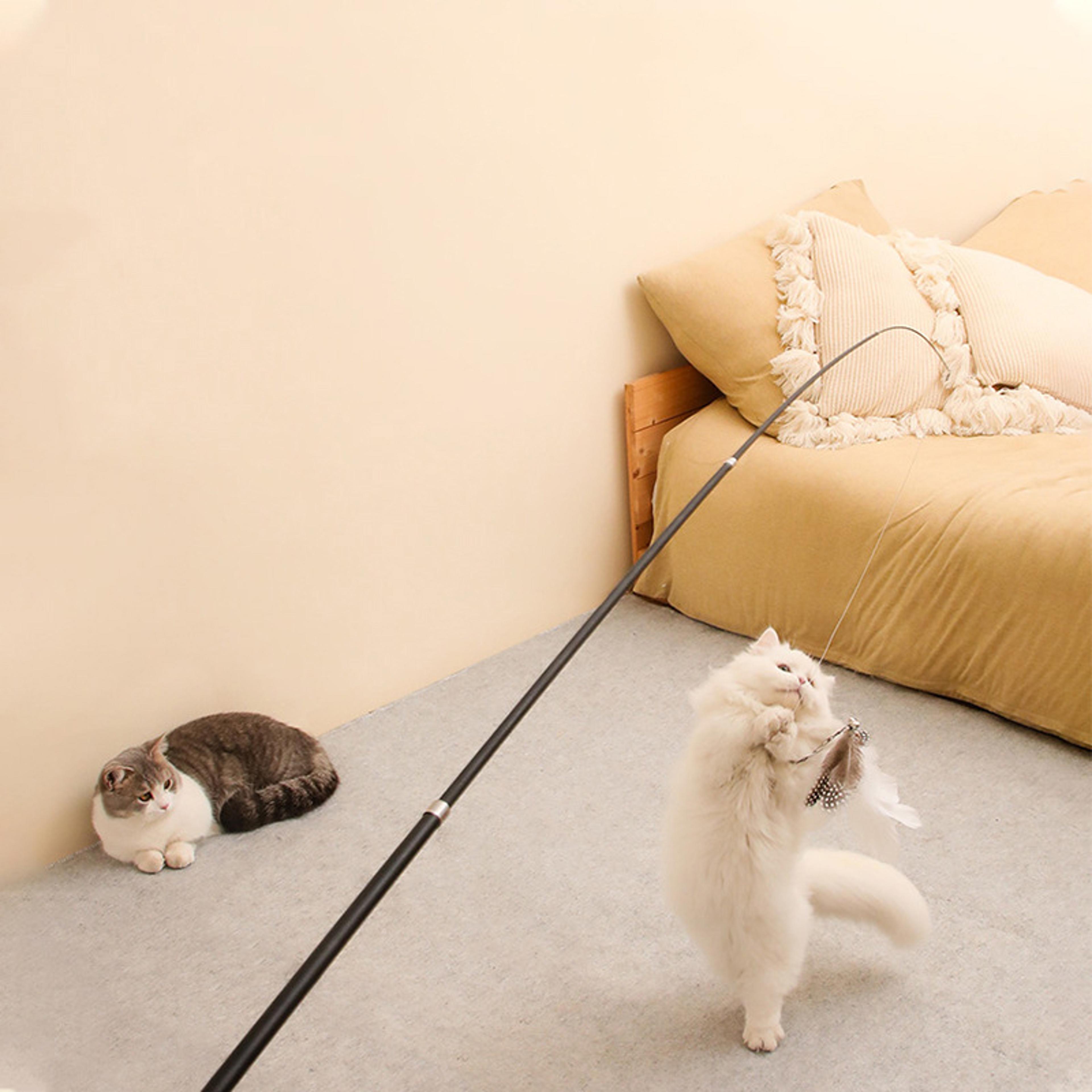 extended interactive cat teaser stick telescopic cat toy wand for play & exercise
