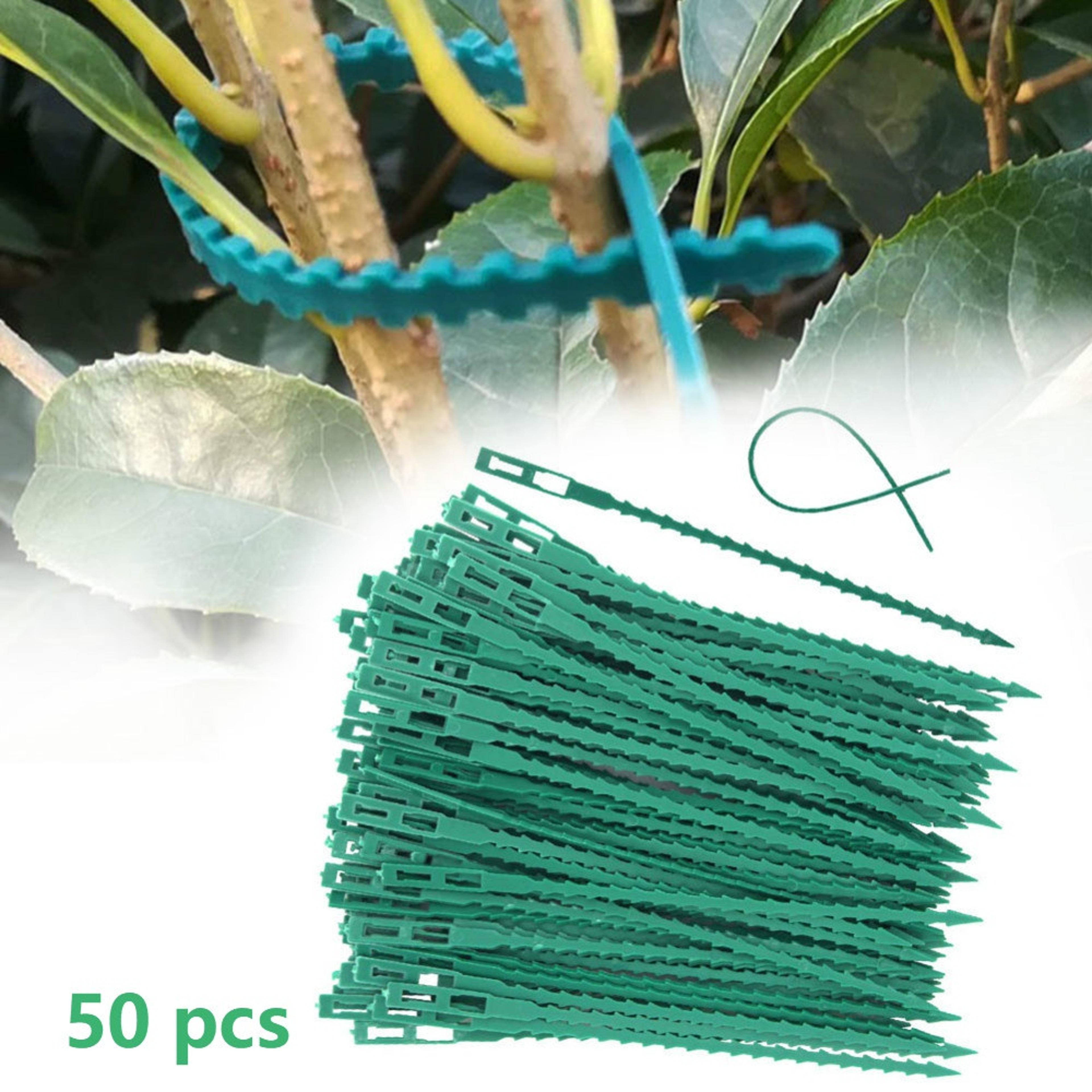 premium adjustable garden plant ties pack reusable plant cable ties & plant support clips for vine & tomato stem care