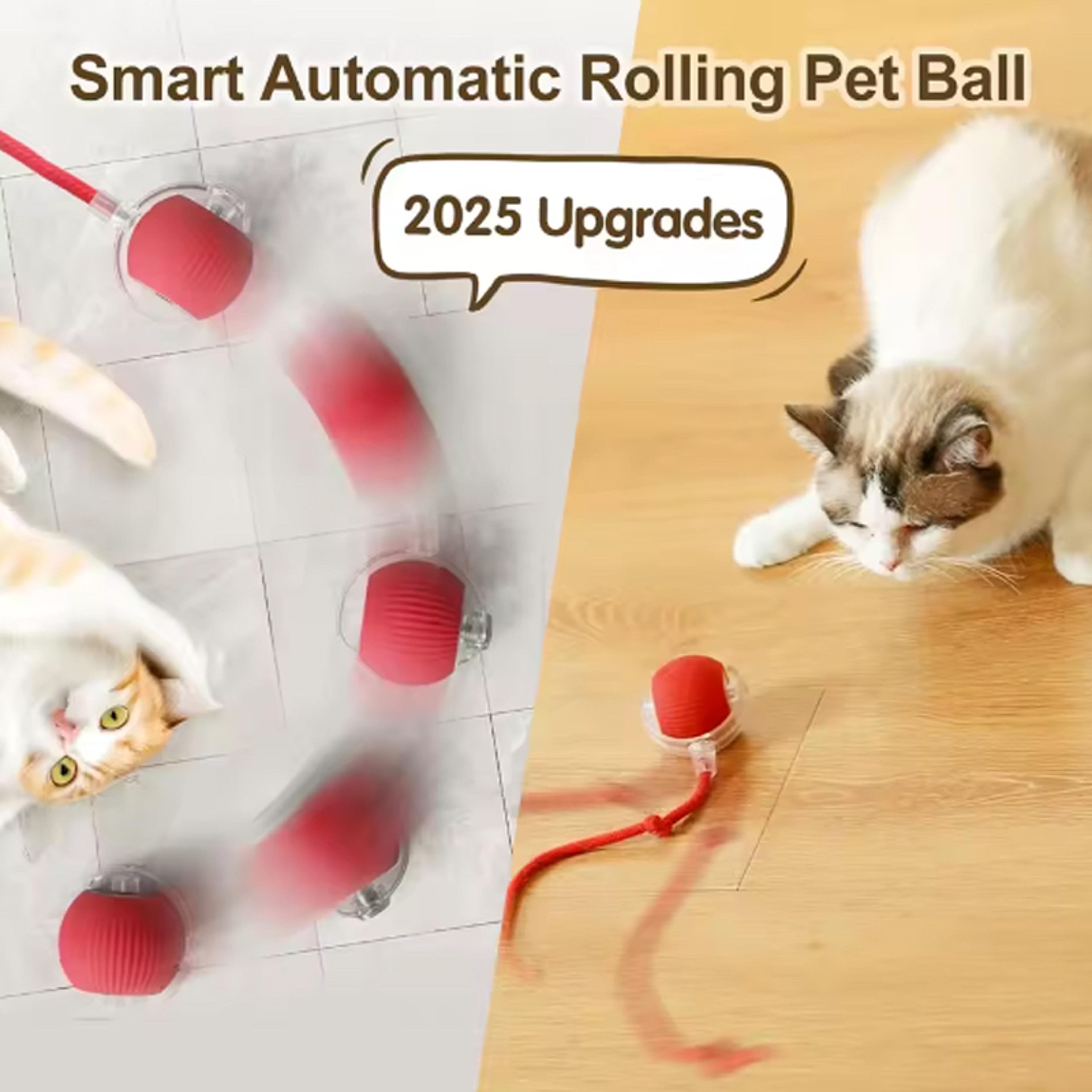 smart interactive cat toy automatic rolling ball with rope for active indoor cats