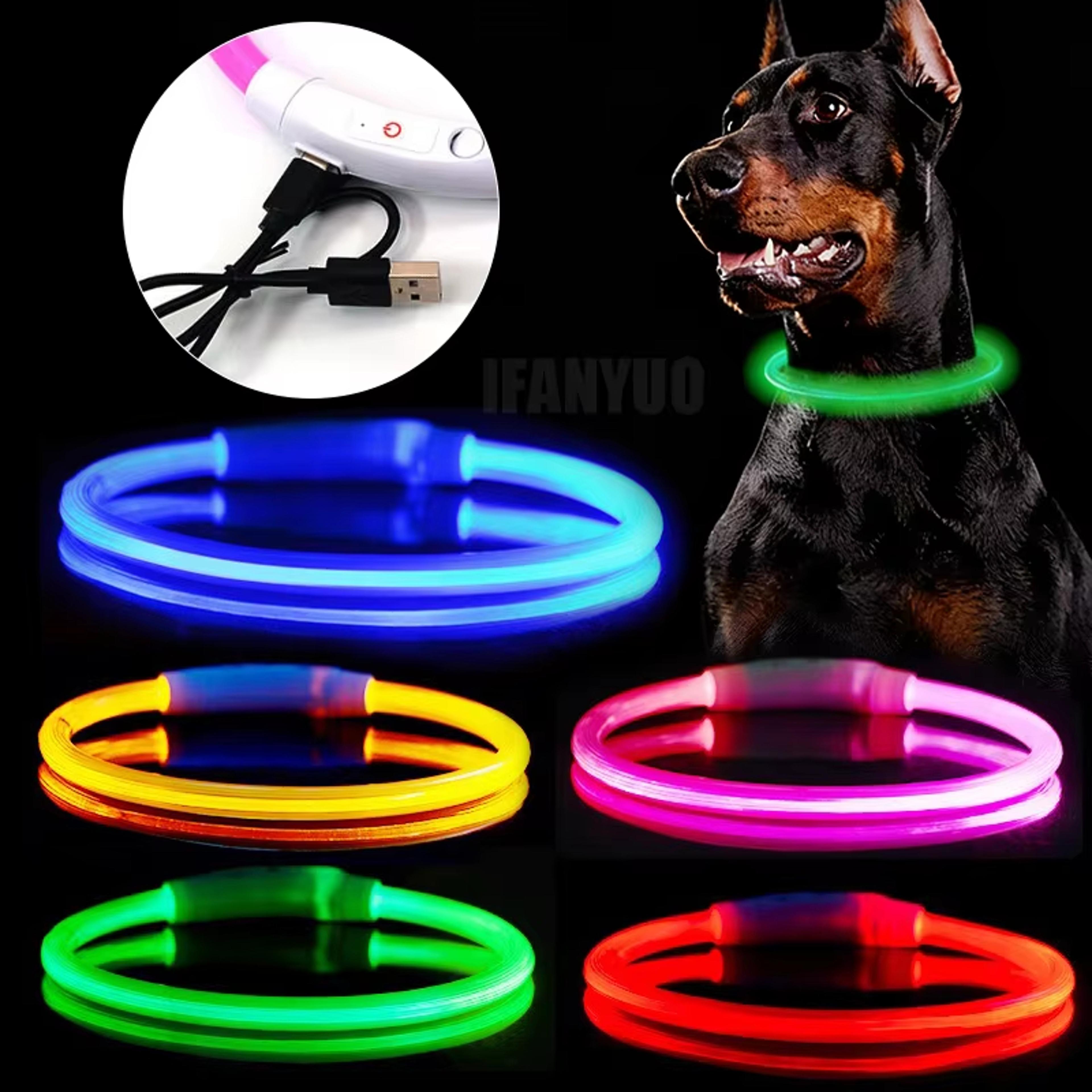 usb rechargeable led dog collar glow in the dark pet safety collar