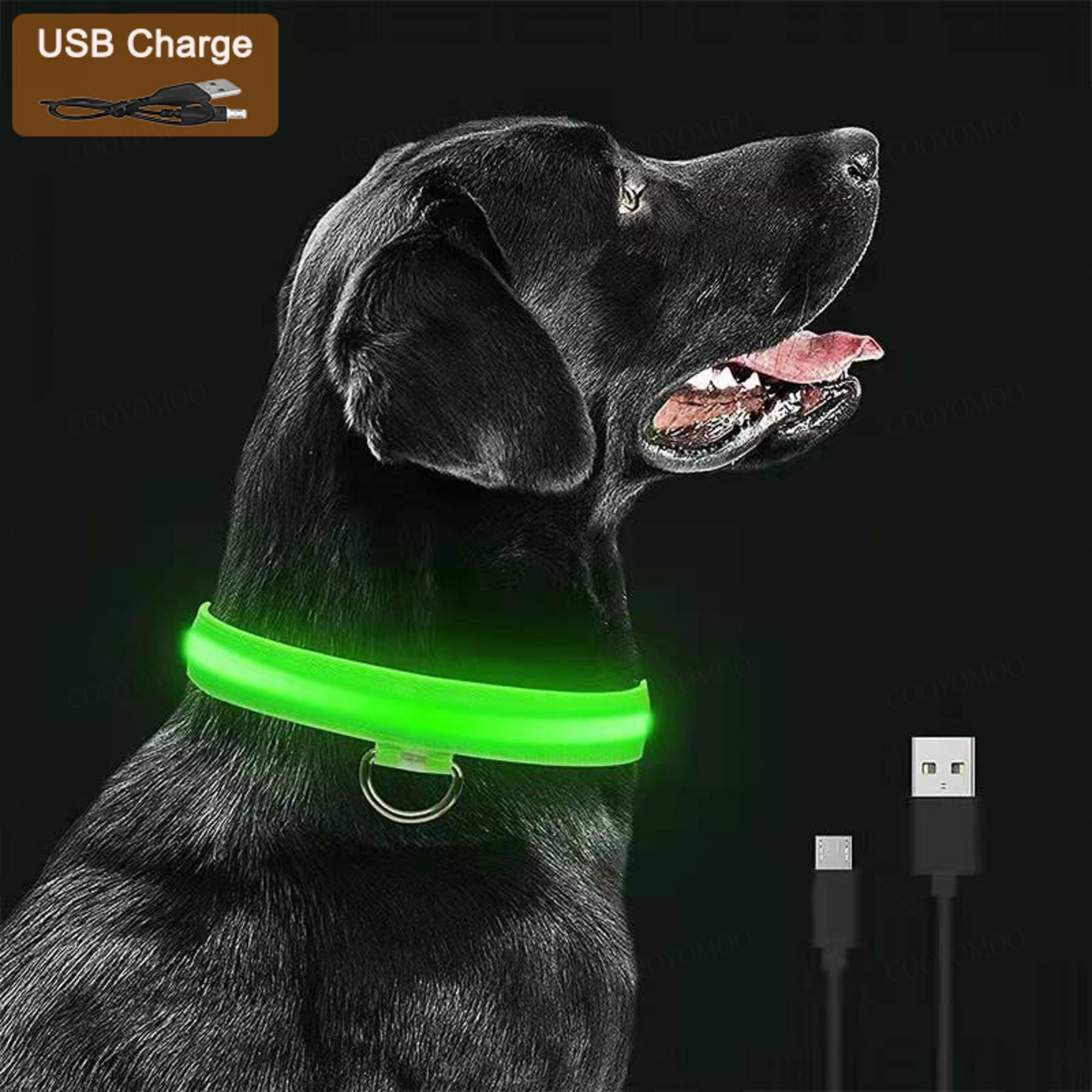 glowguard led dog collar rechargeable light up safety collar with lighting modes