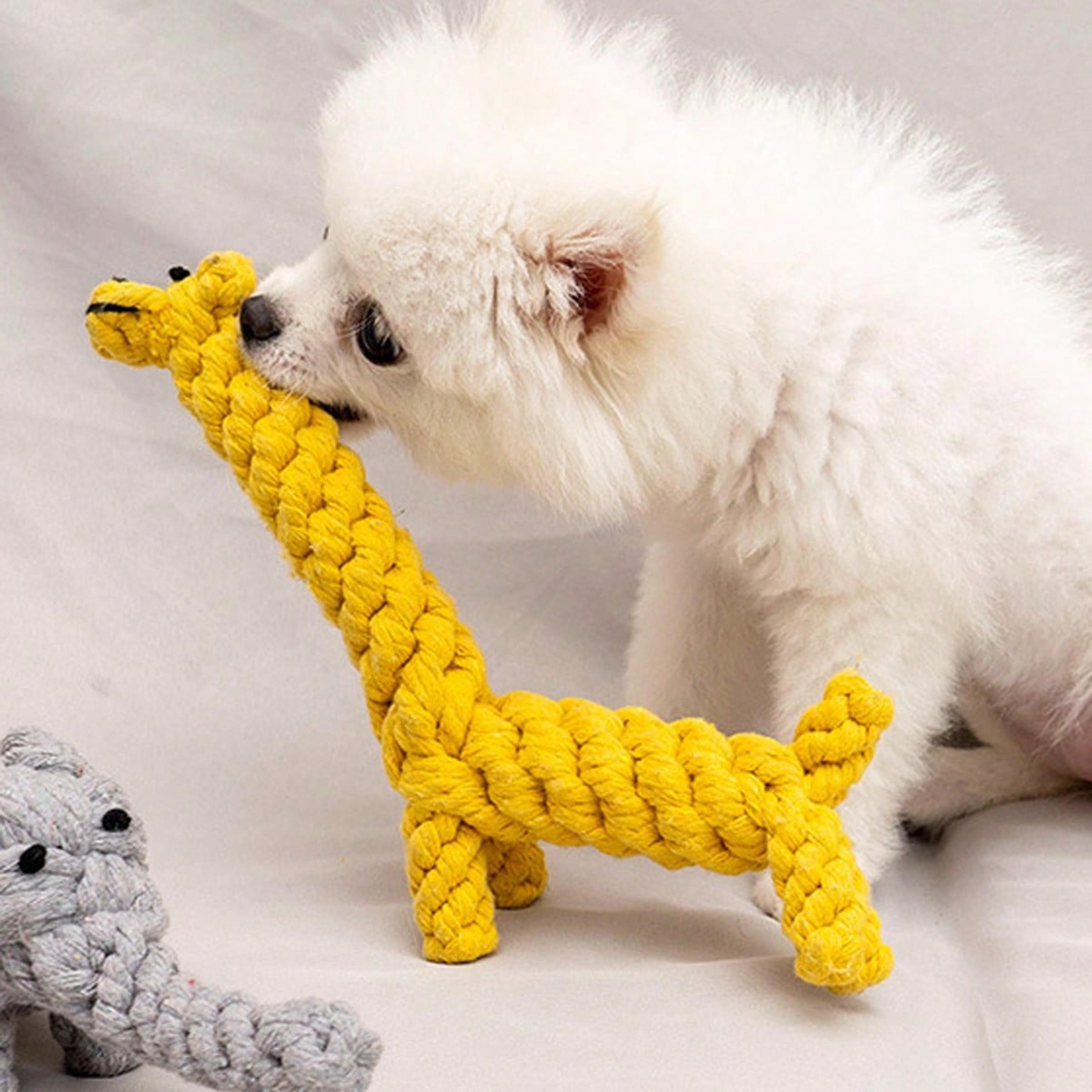 hand woven cotton rope dog toy for small & medium dogs durable chew & dental play toy