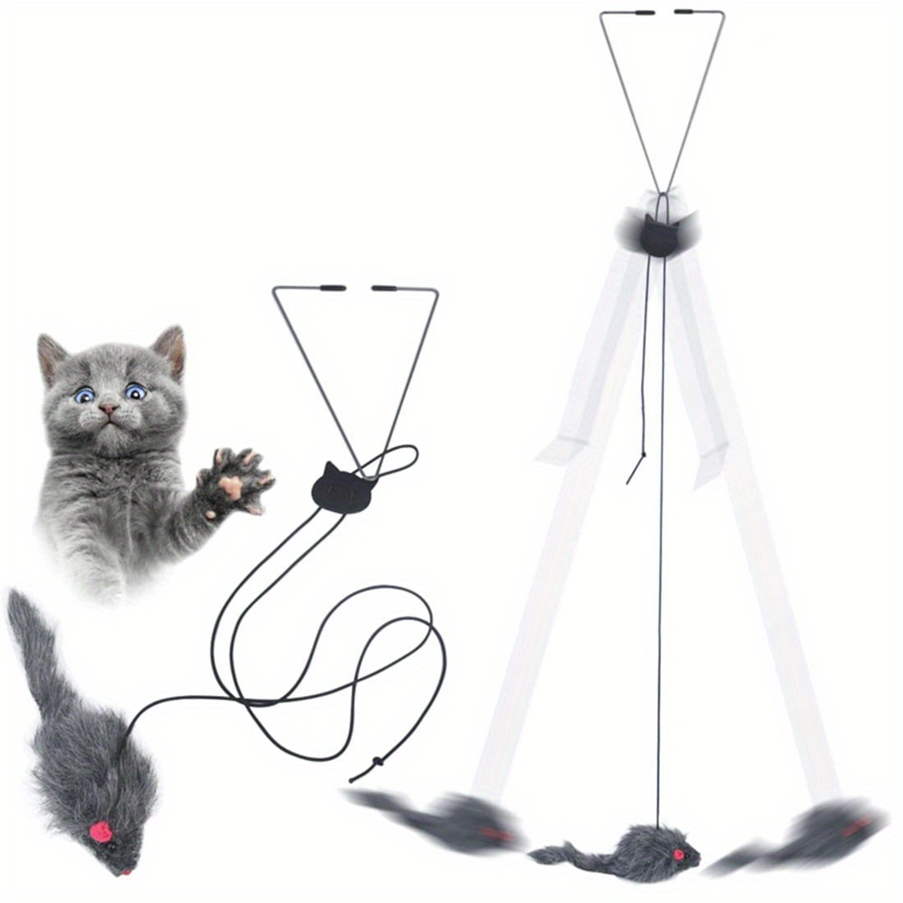 hanging cat toy for stress relief interactive kitten play toy for living room