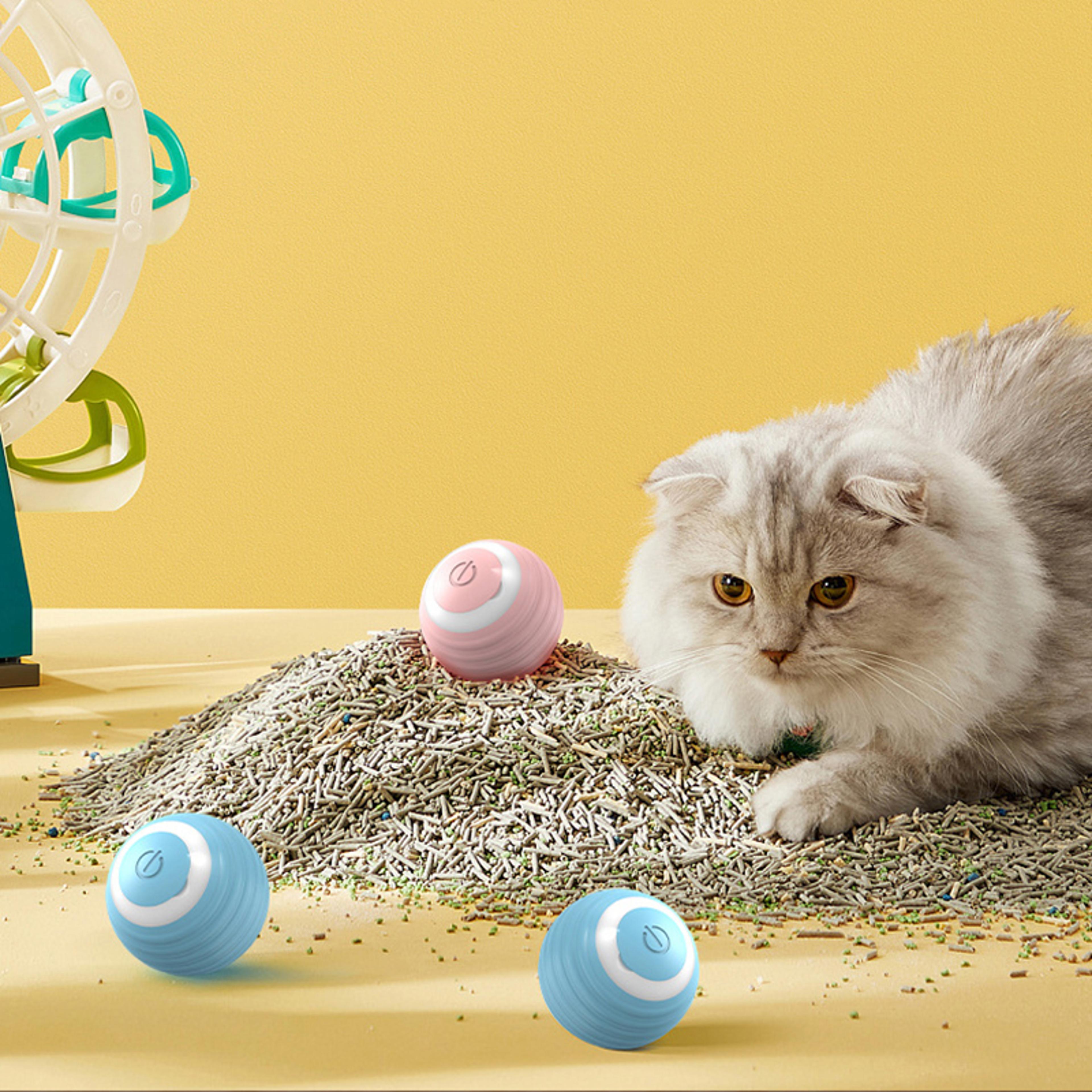 smart interactive cat ball auto rolling magic toy for cats rechargeable and quiet indoor fun