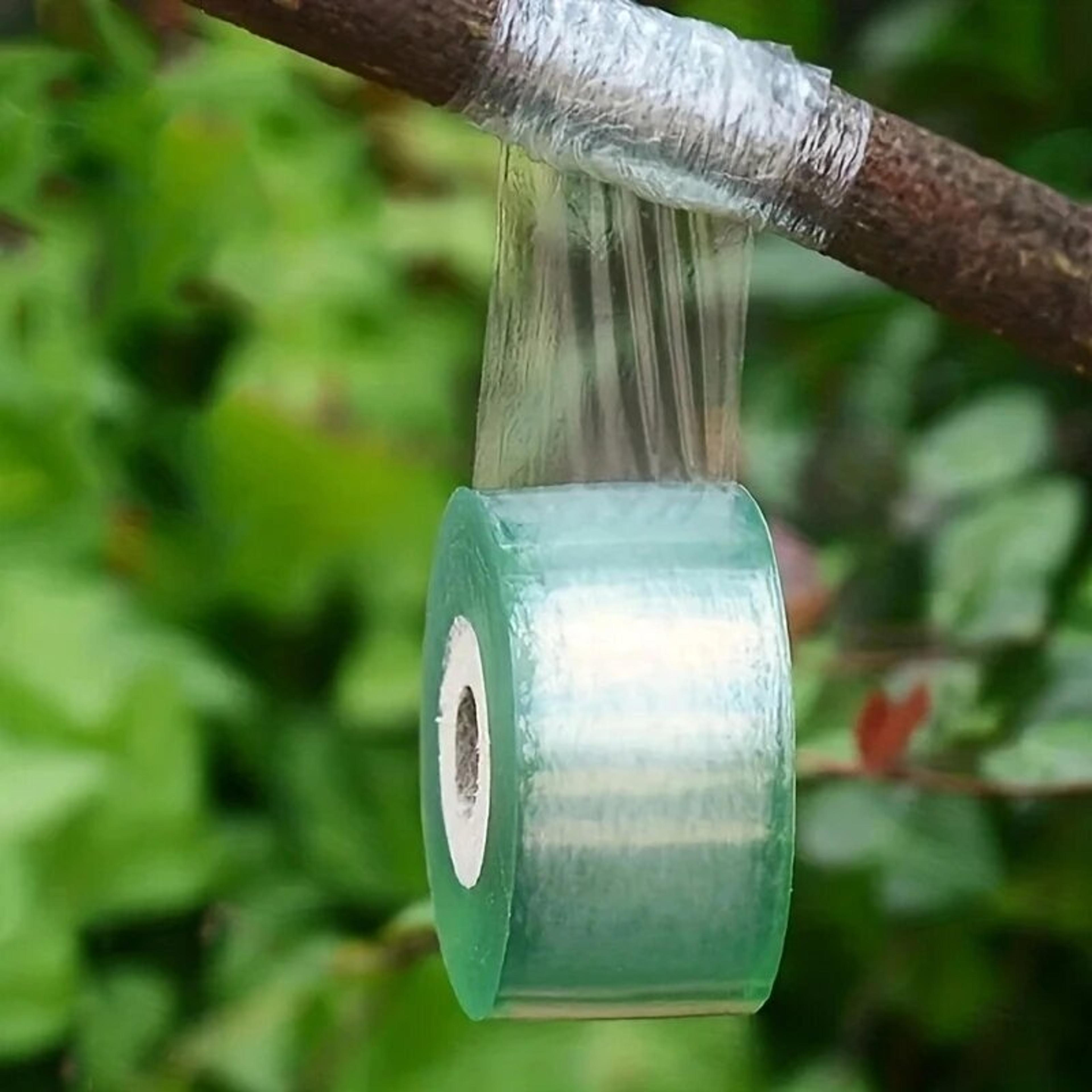 plant grafting tape roll for fruit trees, seedlings & garden grafts