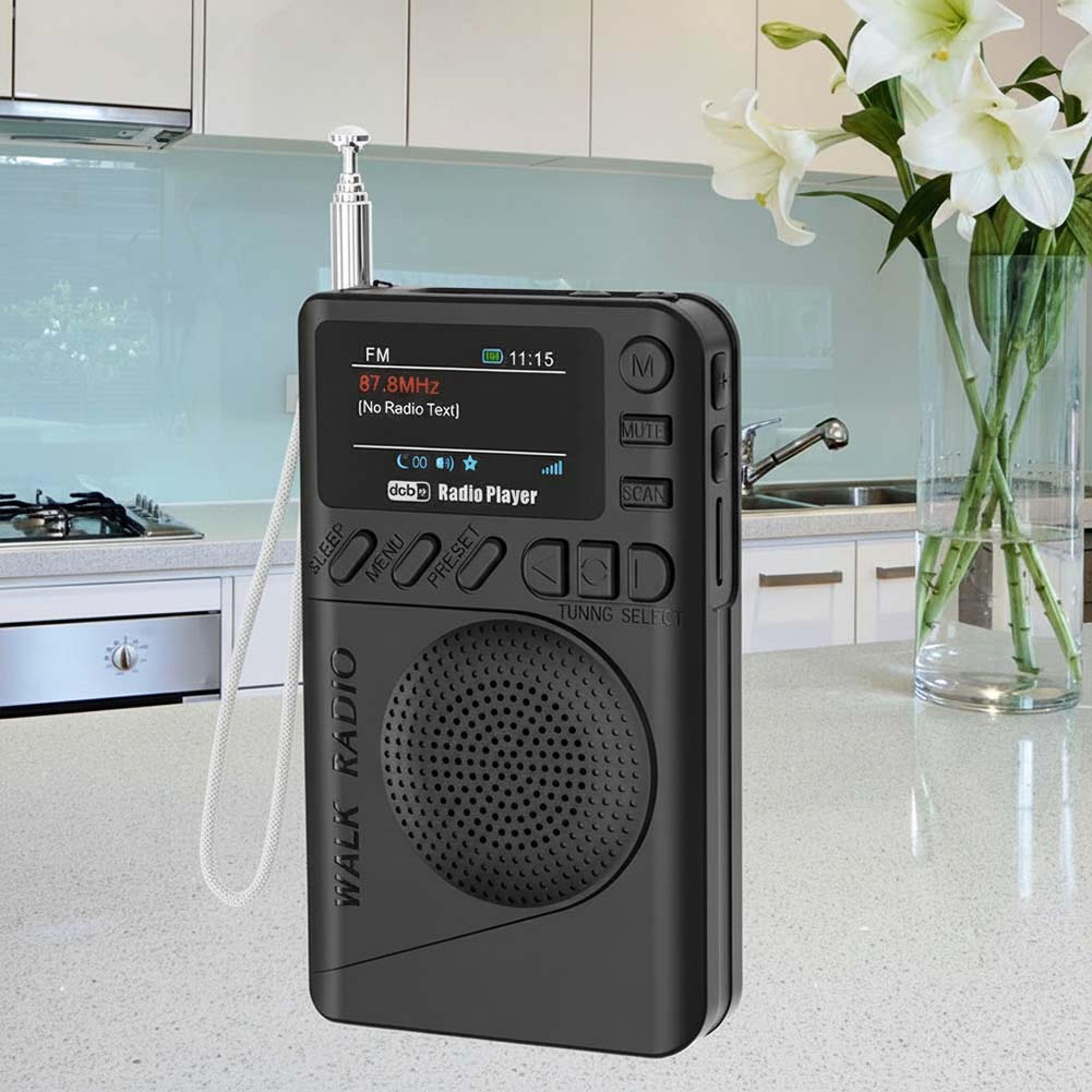 portable dab fm digital radio color screen, mp3 playback, rechargeable battery, pocket sized receiver
