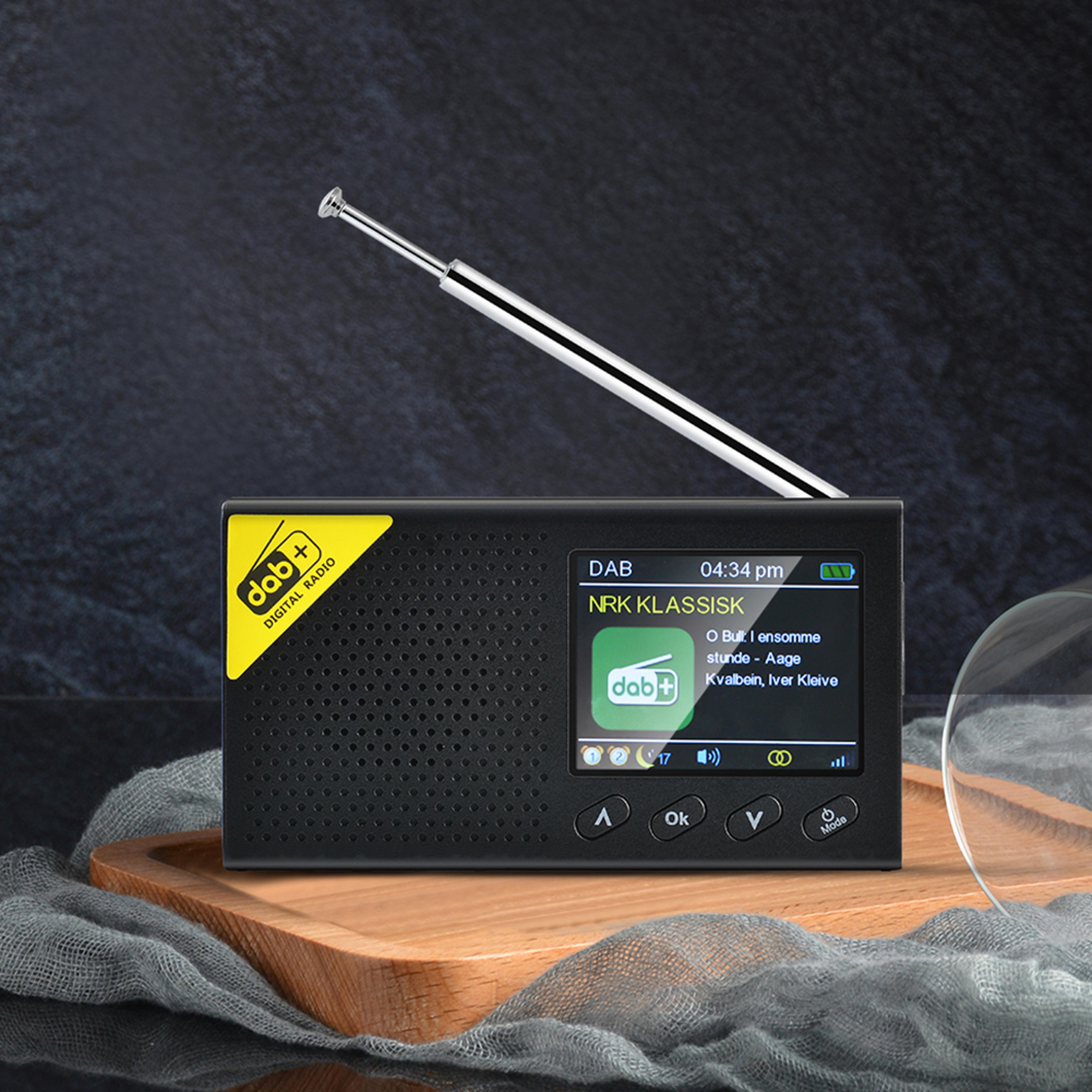 portable dab+ fm radio with bluetooth & stereo sound system wireless rechargeable digital receiver