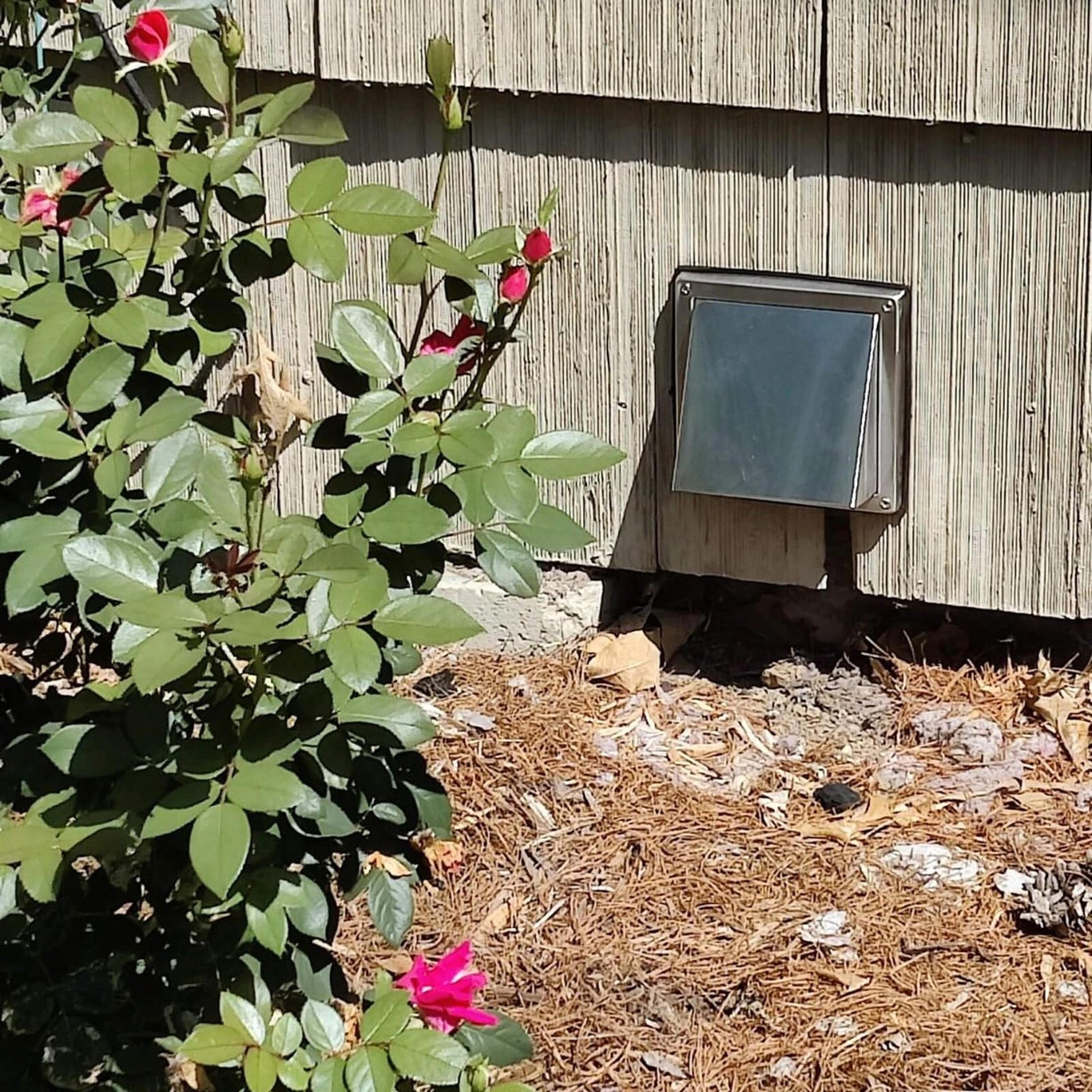 outdoor stainless steel dryer vent cover, weatherproof vent protection for kitchen, bath