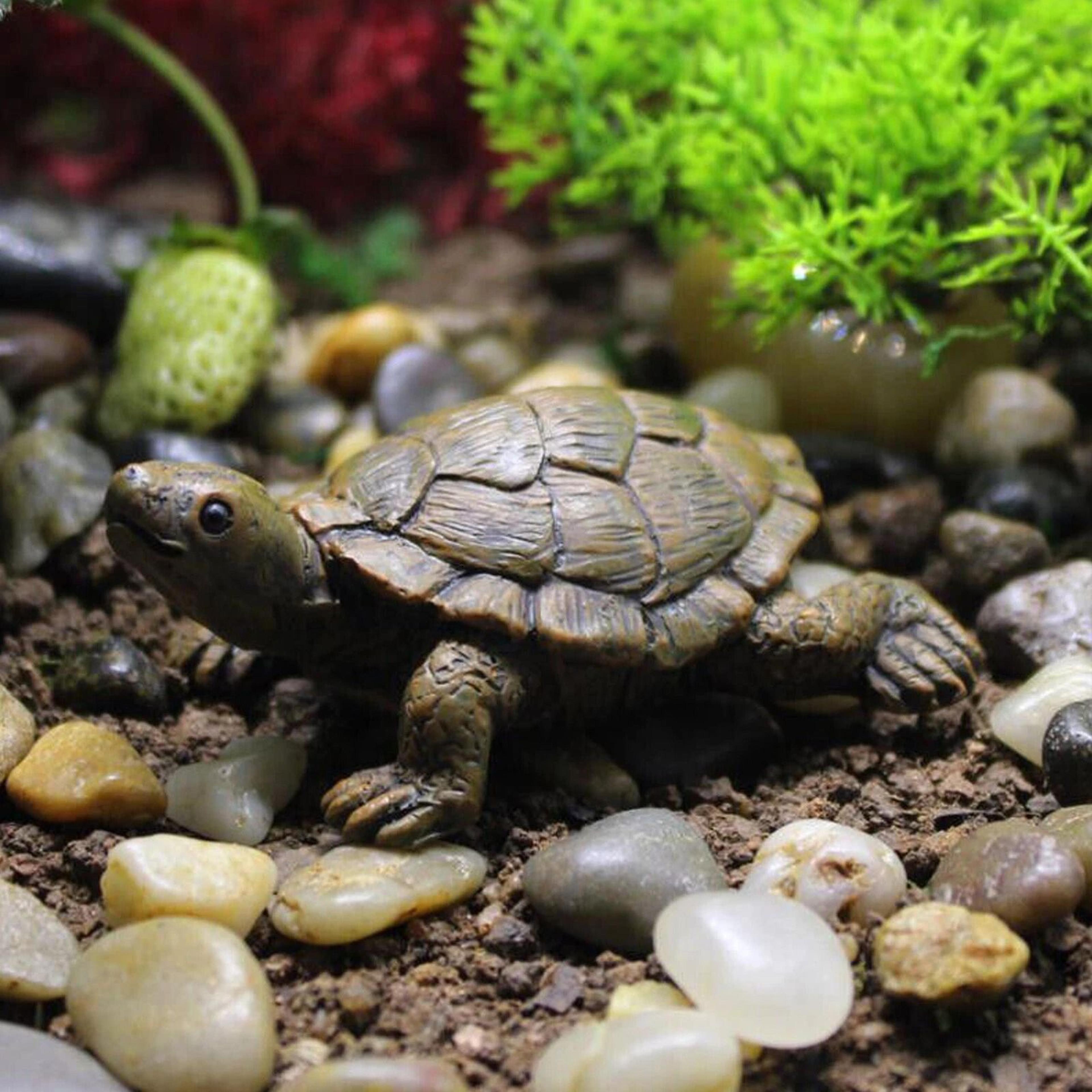 garden tortoise statue – charming turtle figurine for lawn, patio, and home decor