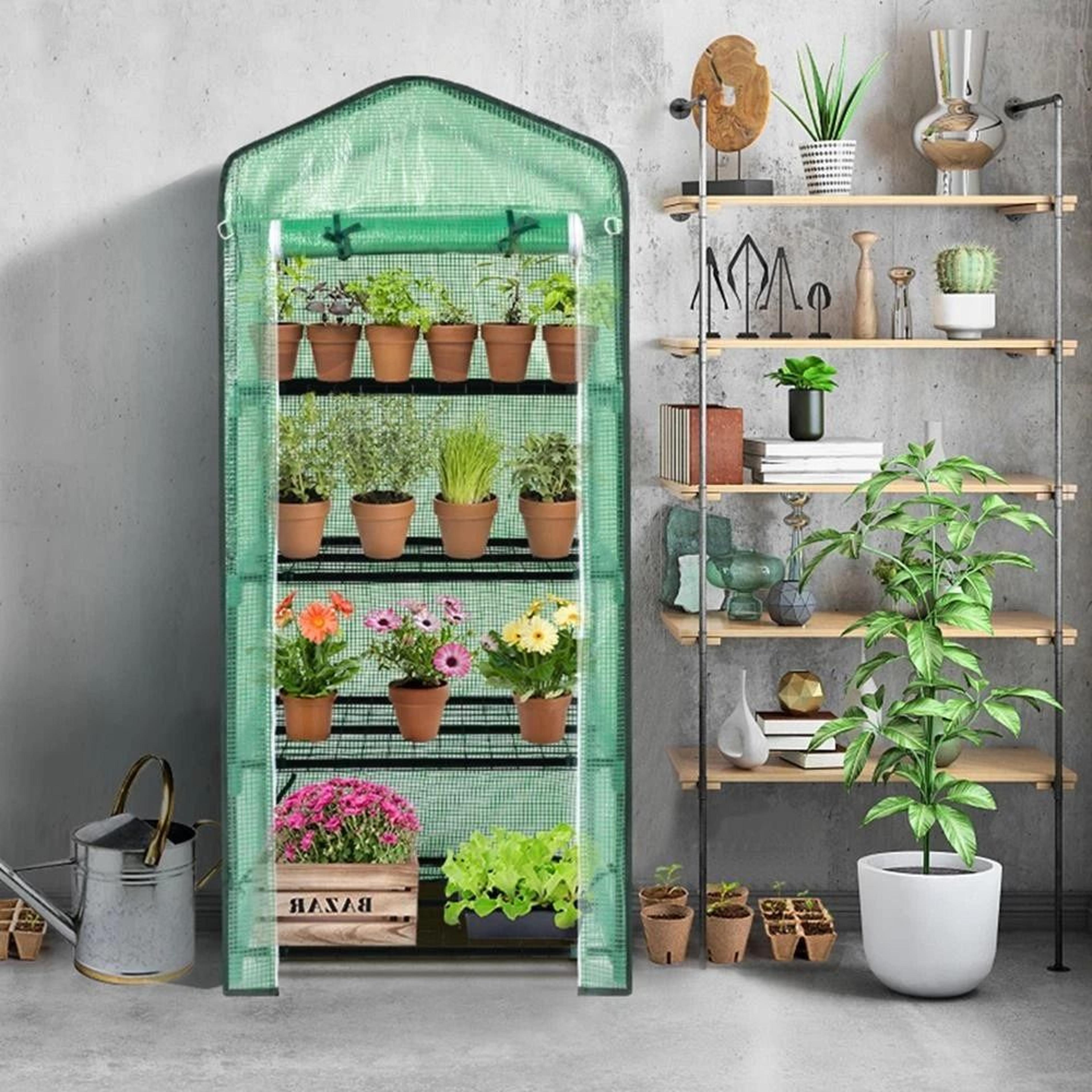 portable mini greenhouse for outdoor gardening