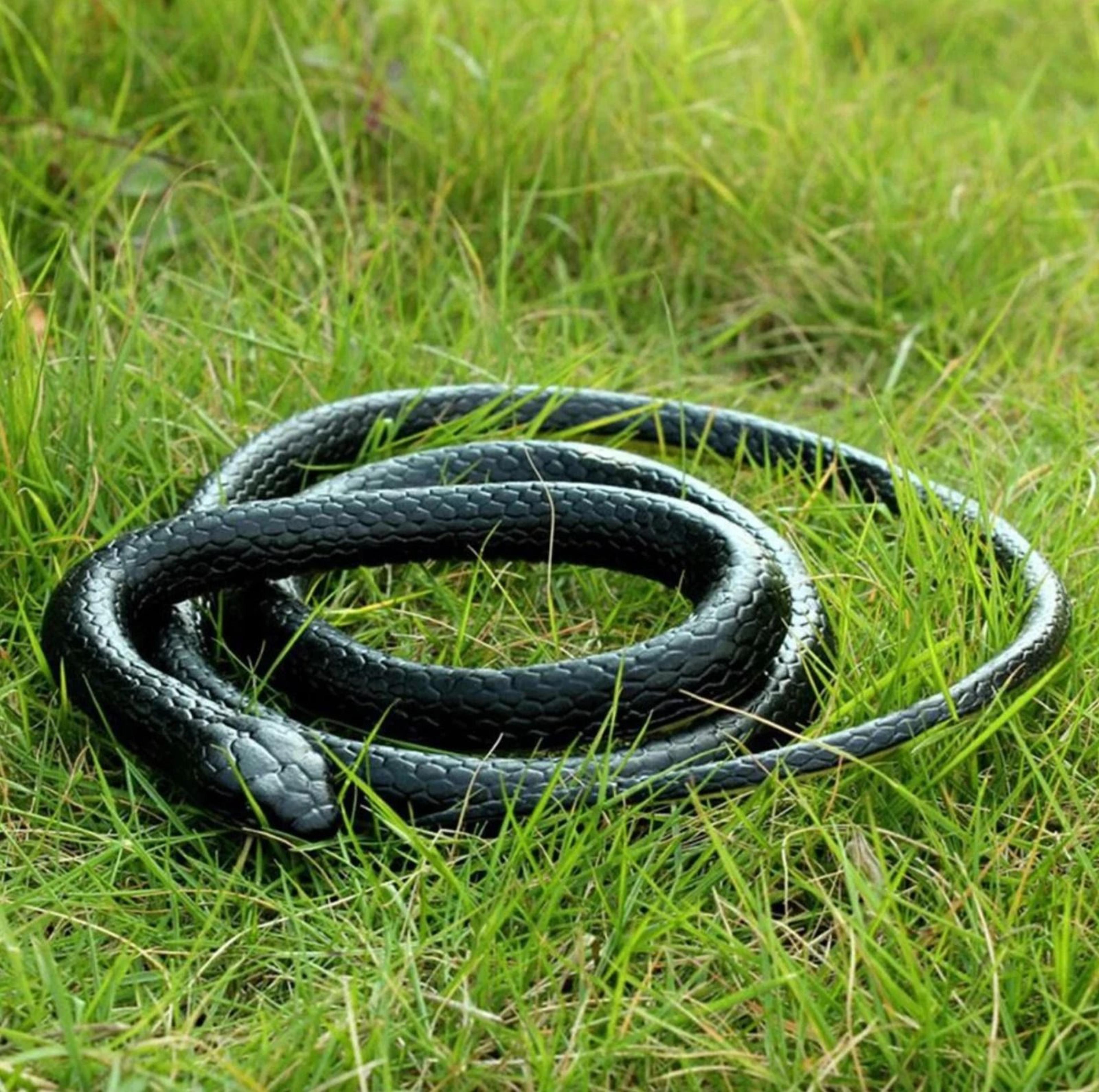 lifelike fake snake toy – scary rubber prank for garden, party, and jokes